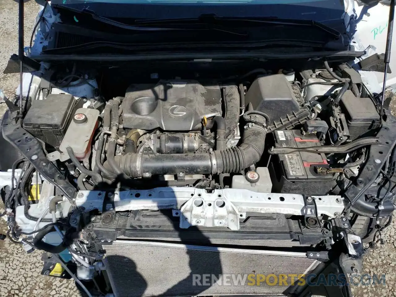 12 fotografías del automóvil dañado JTJYARBZ7K2133844 LEXUS NX 2019