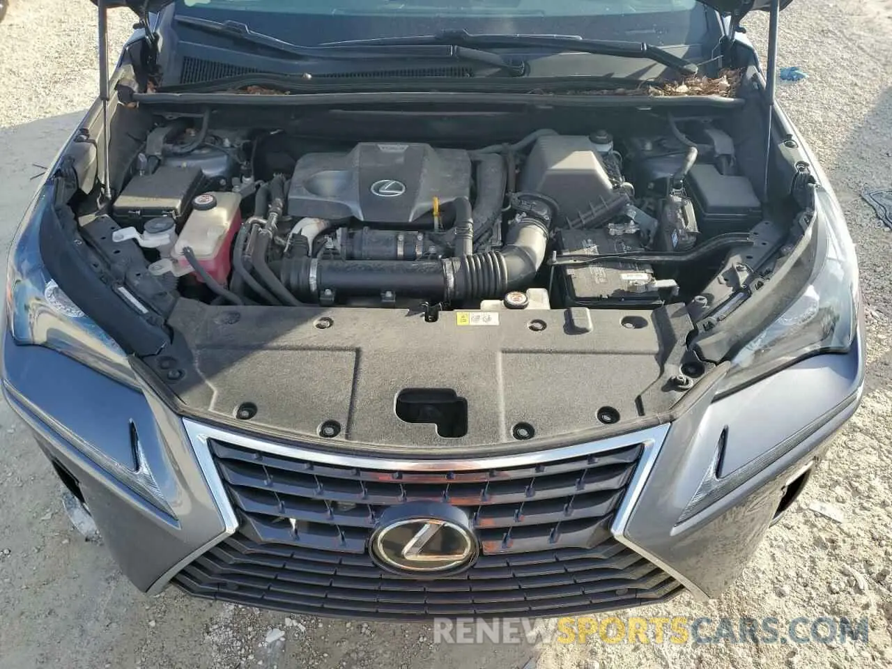 12 fotografías del automóvil dañado JTJYARBZ8K2126613 LEXUS NX 2019