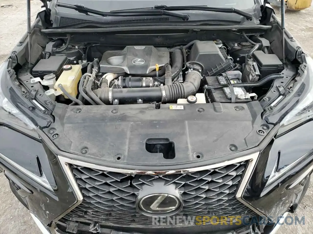 12 fotografías del automóvil dañado JTJYARBZ8K2134677 LEXUS NX 2019