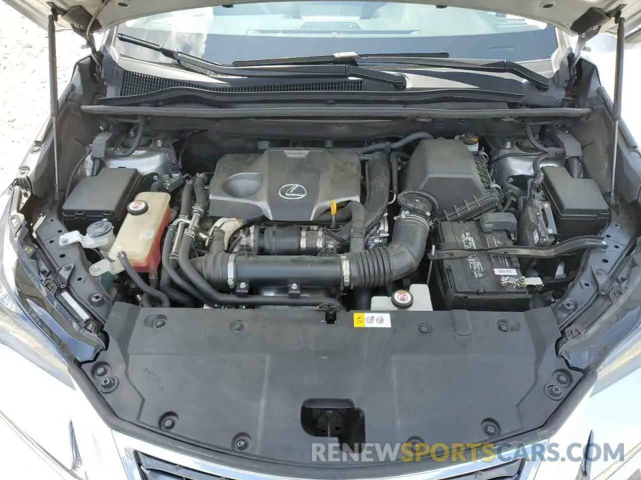 12 fotografías del automóvil dañado JTJYARBZXK2124345 LEXUS NX 2019