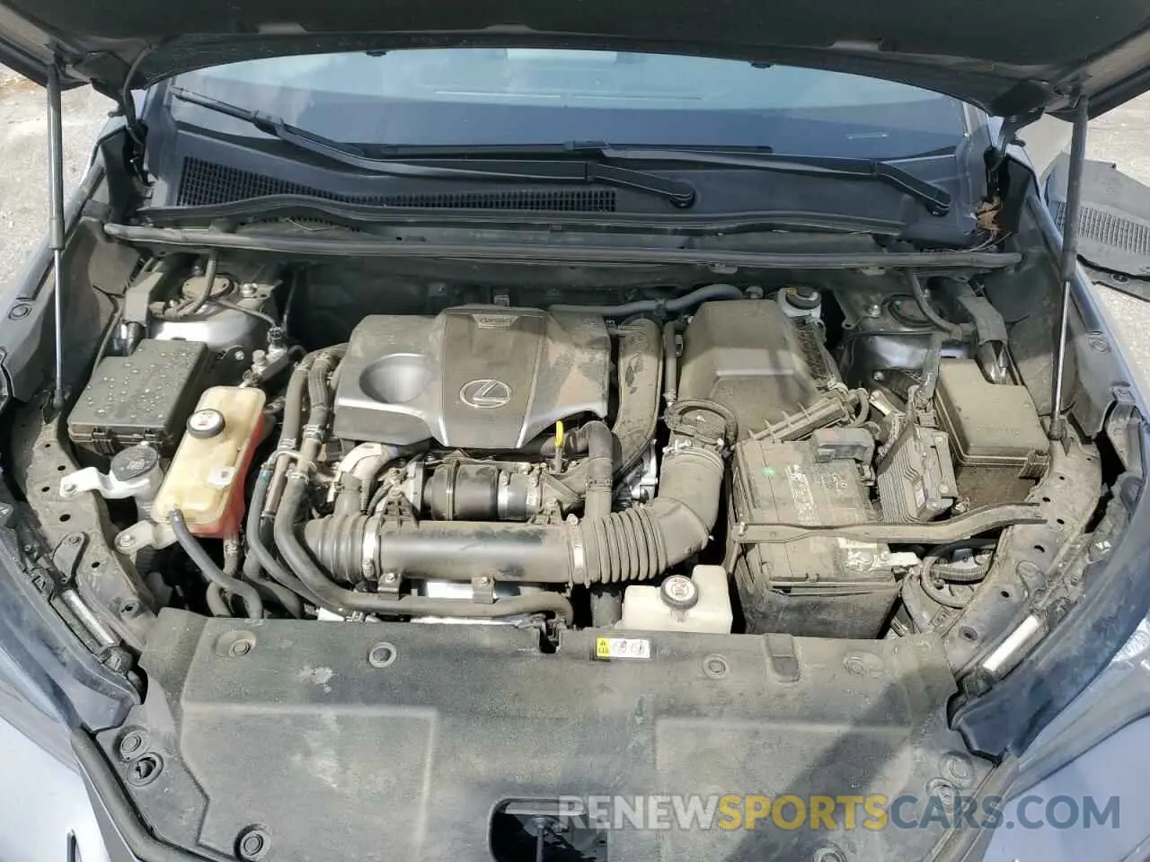 12 fotografías del automóvil dañado JTJYARBZXK2134745 LEXUS NX 2019