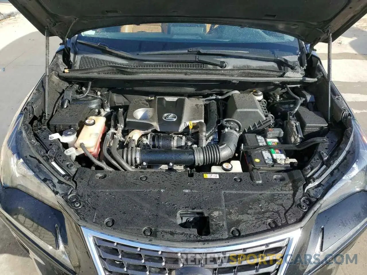 12 fotografías del automóvil dañado JTJYARBZXK2148886 LEXUS NX 2019