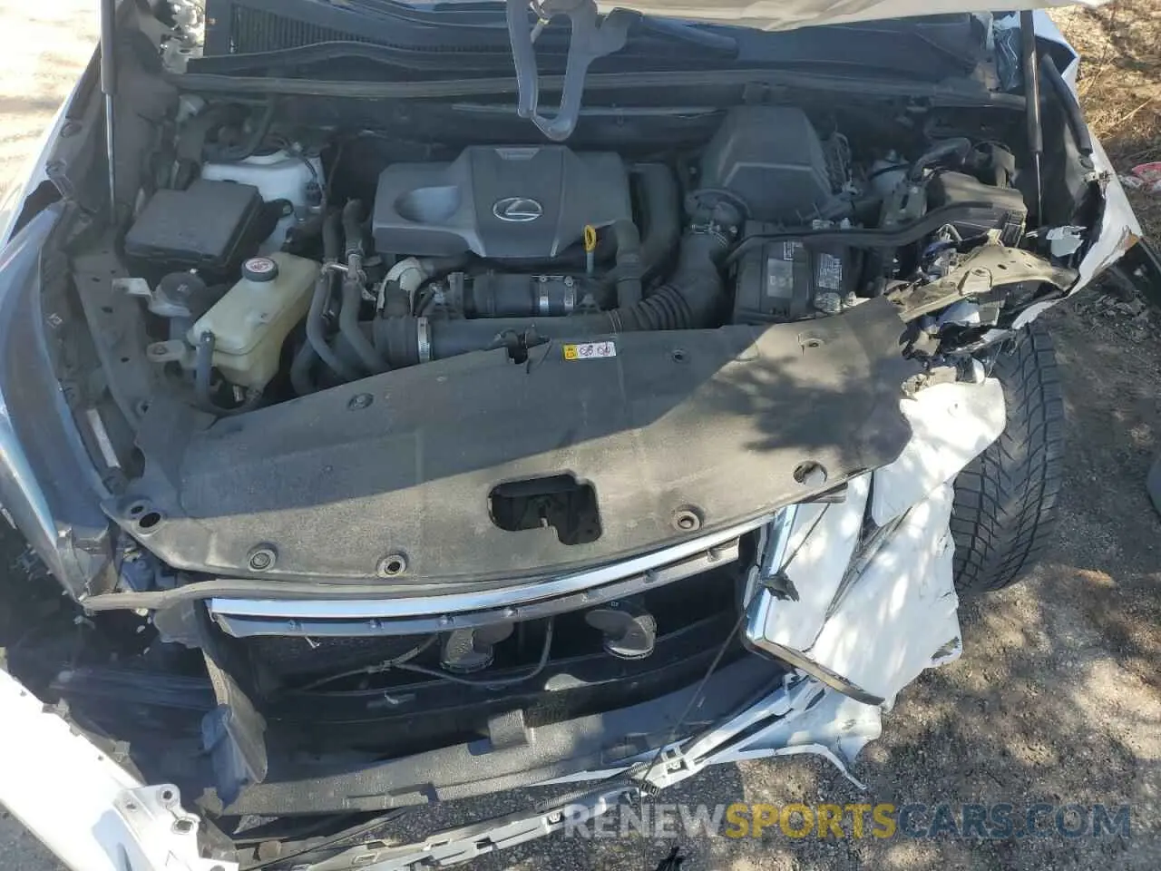 12 fotografías del automóvil dañado JTJAARDZ3L5000125 LEXUS NX 2020
