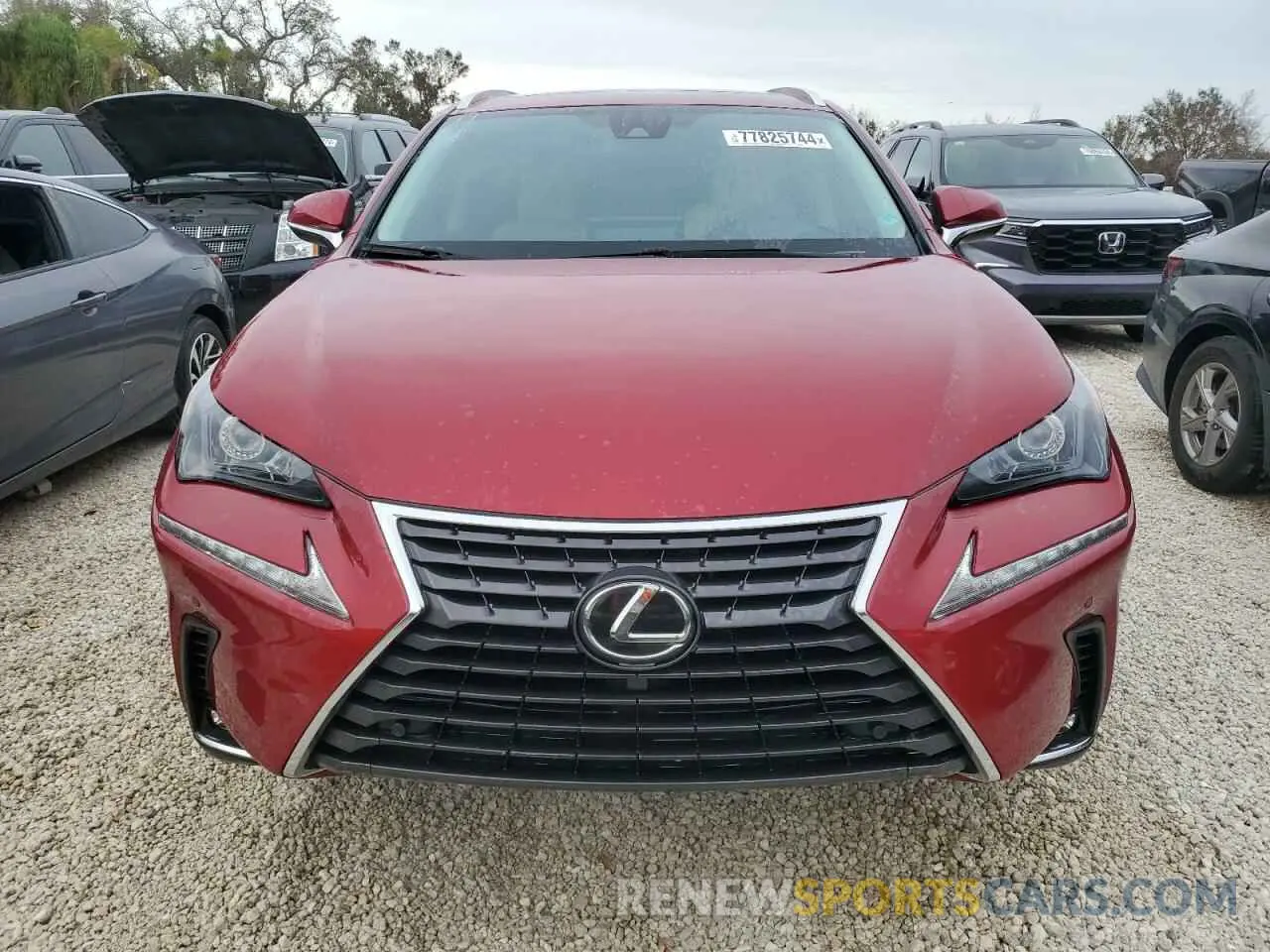 5 fotografías del automóvil dañado JTJDARBZ1L5011253 LEXUS NX 2020