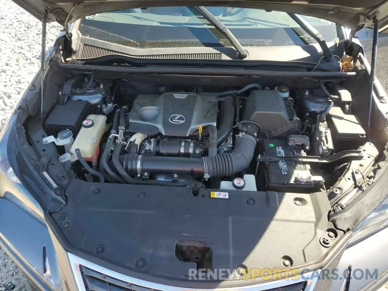 12 fotografías del automóvil dañado JTJDARBZ3L5000674 LEXUS NX 2020