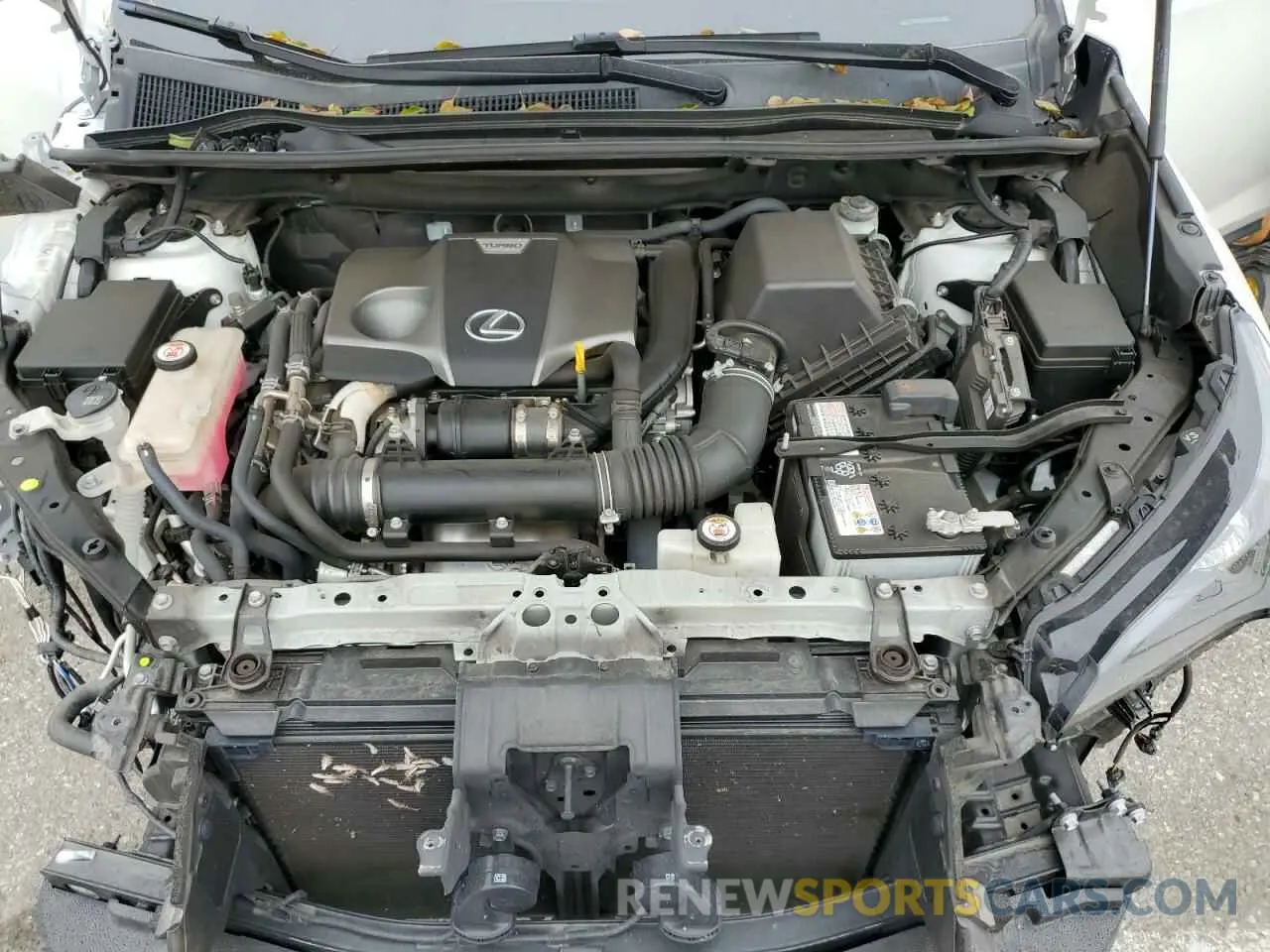12 fotografías del automóvil dañado JTJDARBZ3L5004692 LEXUS NX 2020