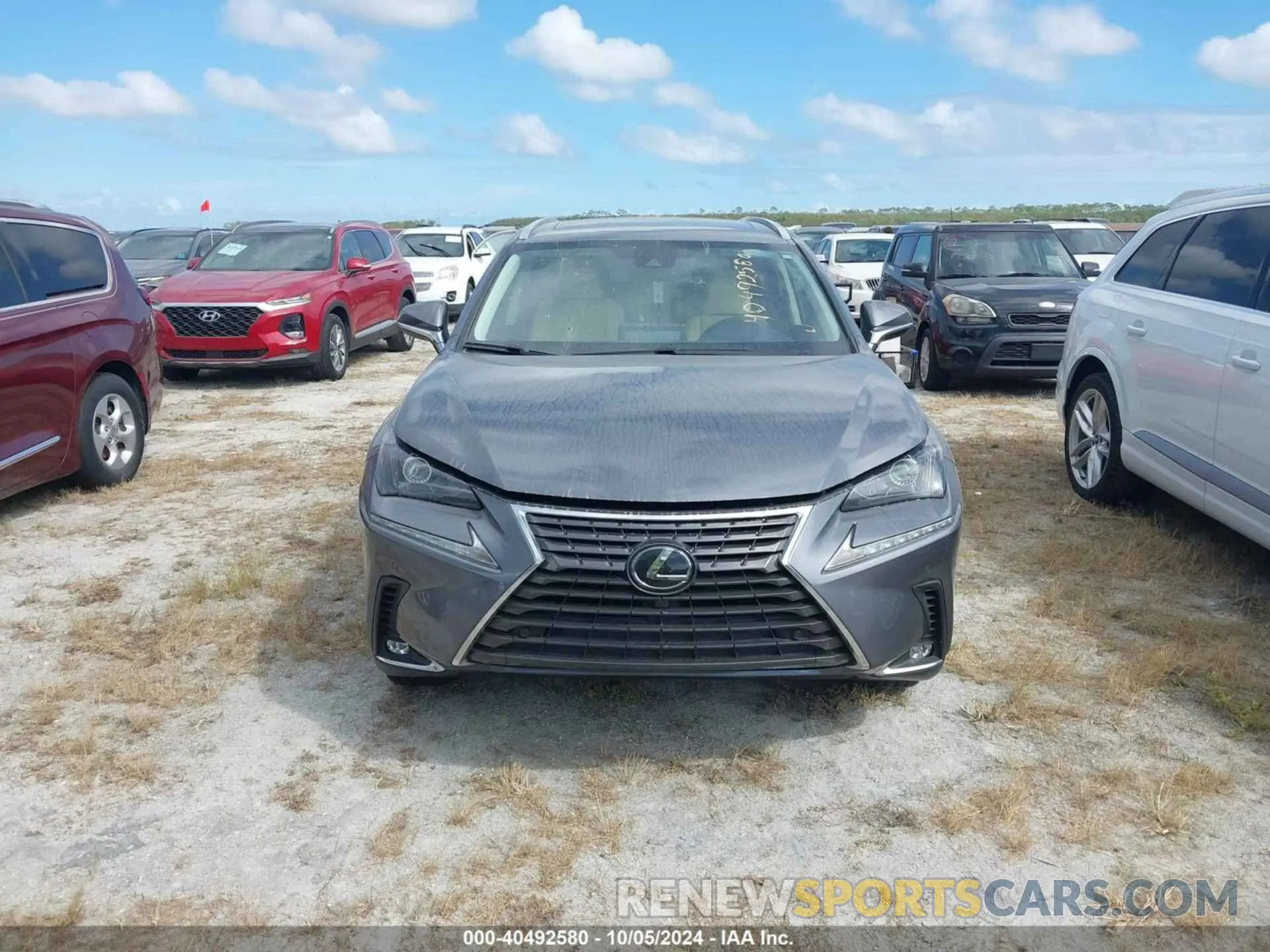 13 fotografías del automóvil dañado JTJDARBZ5L2173730 LEXUS NX 2020