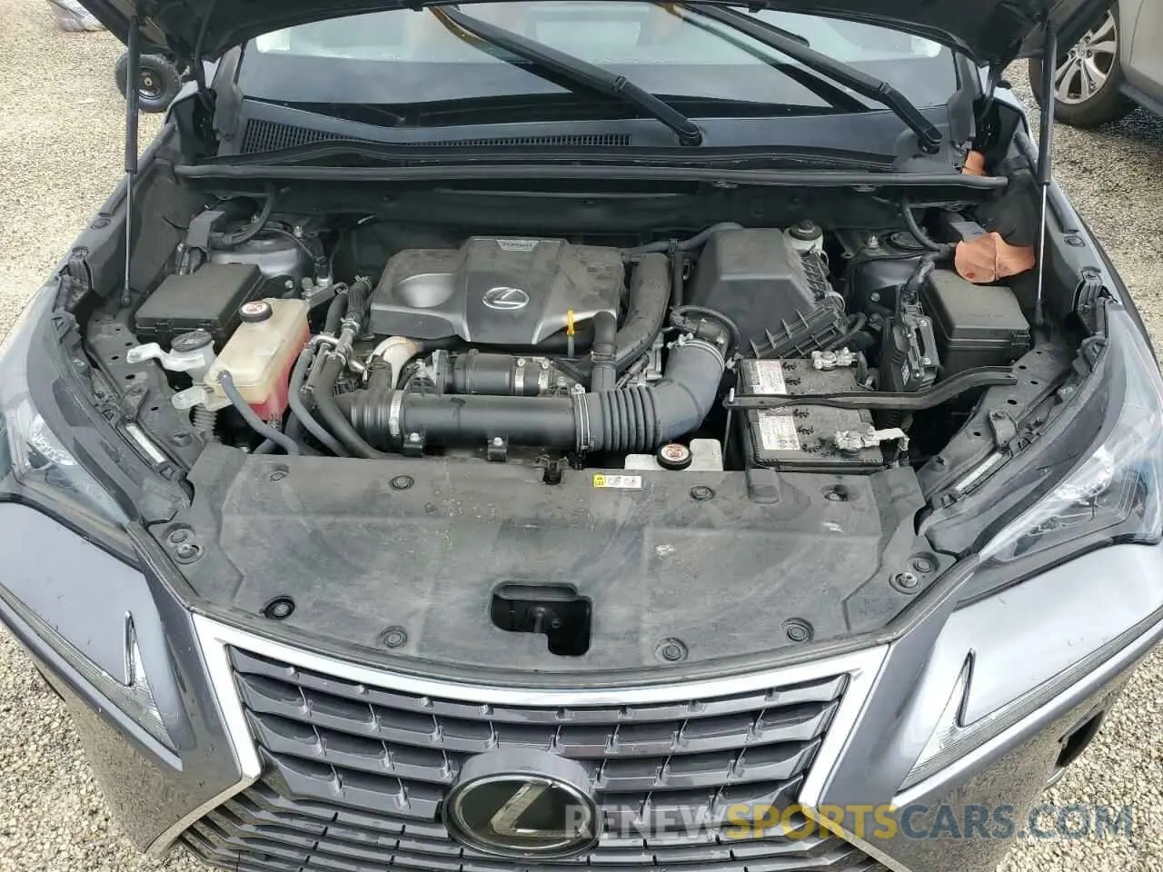 11 fotografías del automóvil dañado JTJDARBZ6L2171517 LEXUS NX 2020