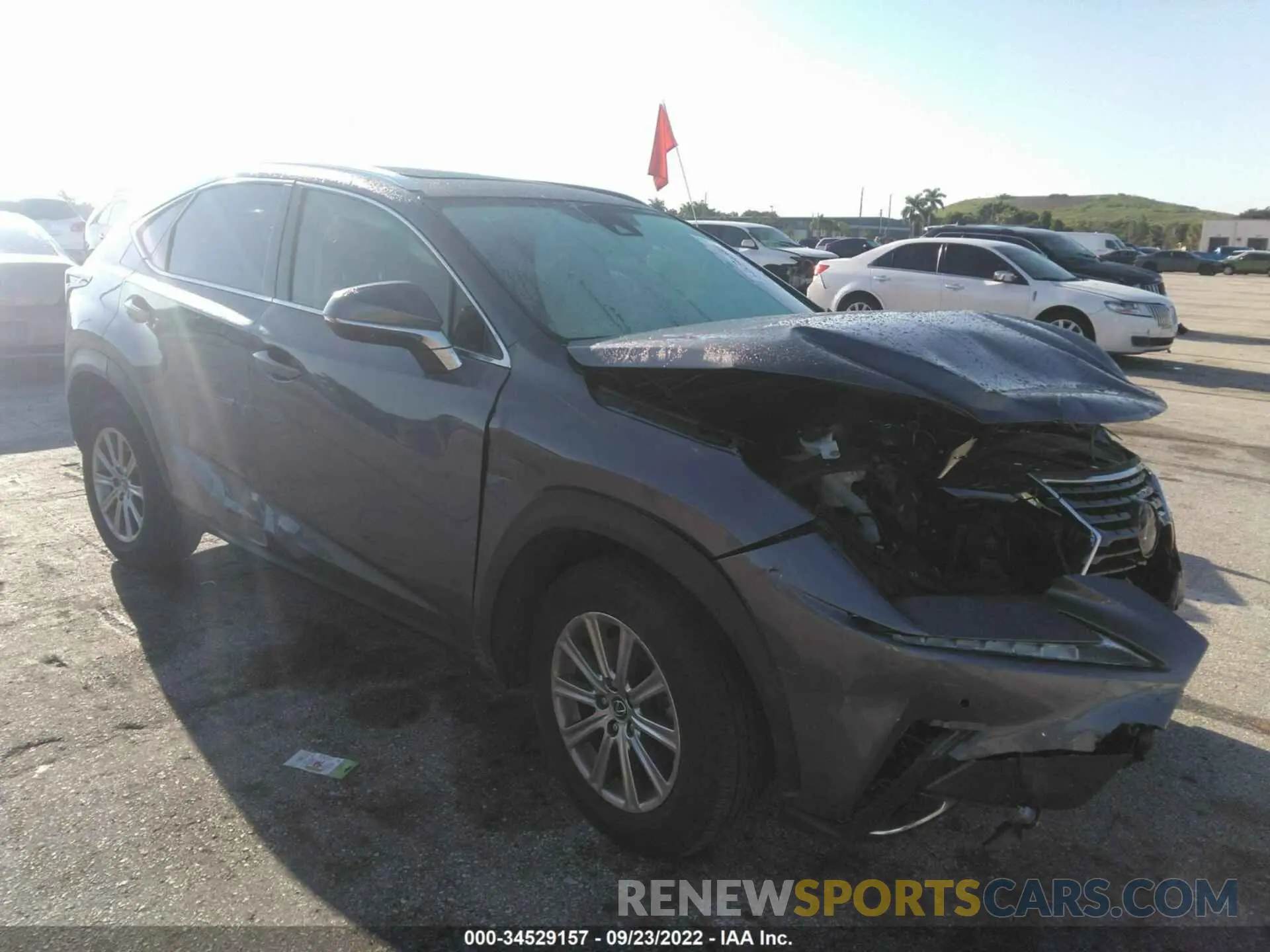 1 fotografías del automóvil dañado JTJDARBZ6L2178368 LEXUS NX 2020