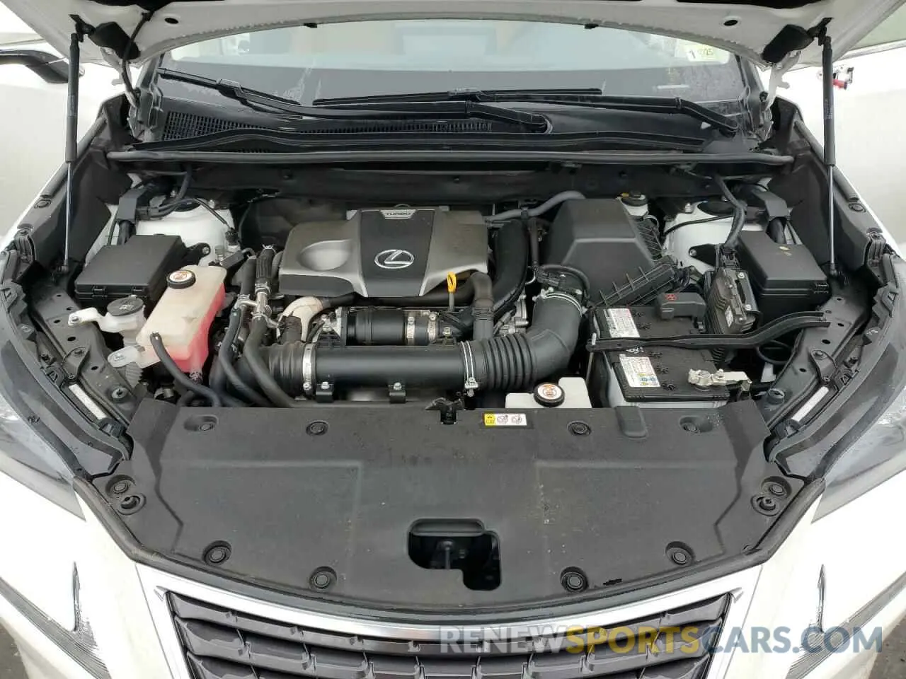 12 fotografías del automóvil dañado JTJDARDZ3L5012708 LEXUS NX 2020