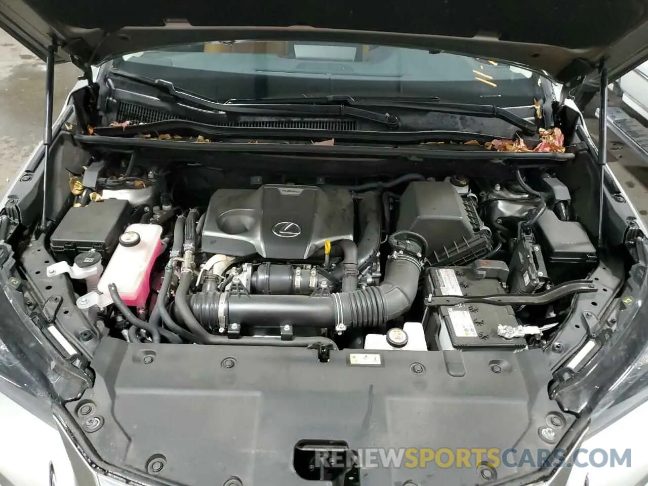 7 fotografías del automóvil dañado JTJDARDZ6L5004165 LEXUS NX 2020