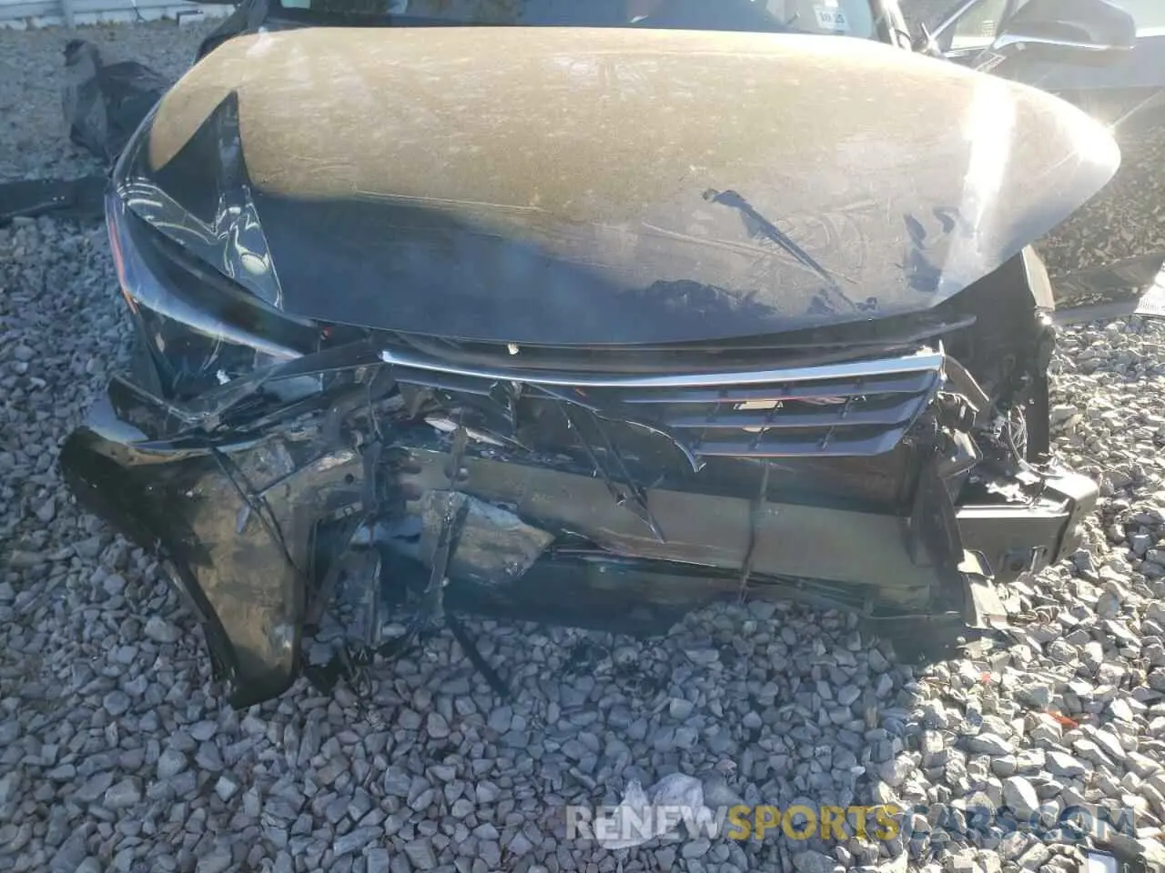 12 fotografías del automóvil dañado JTJDARDZXL2235670 LEXUS NX 2020