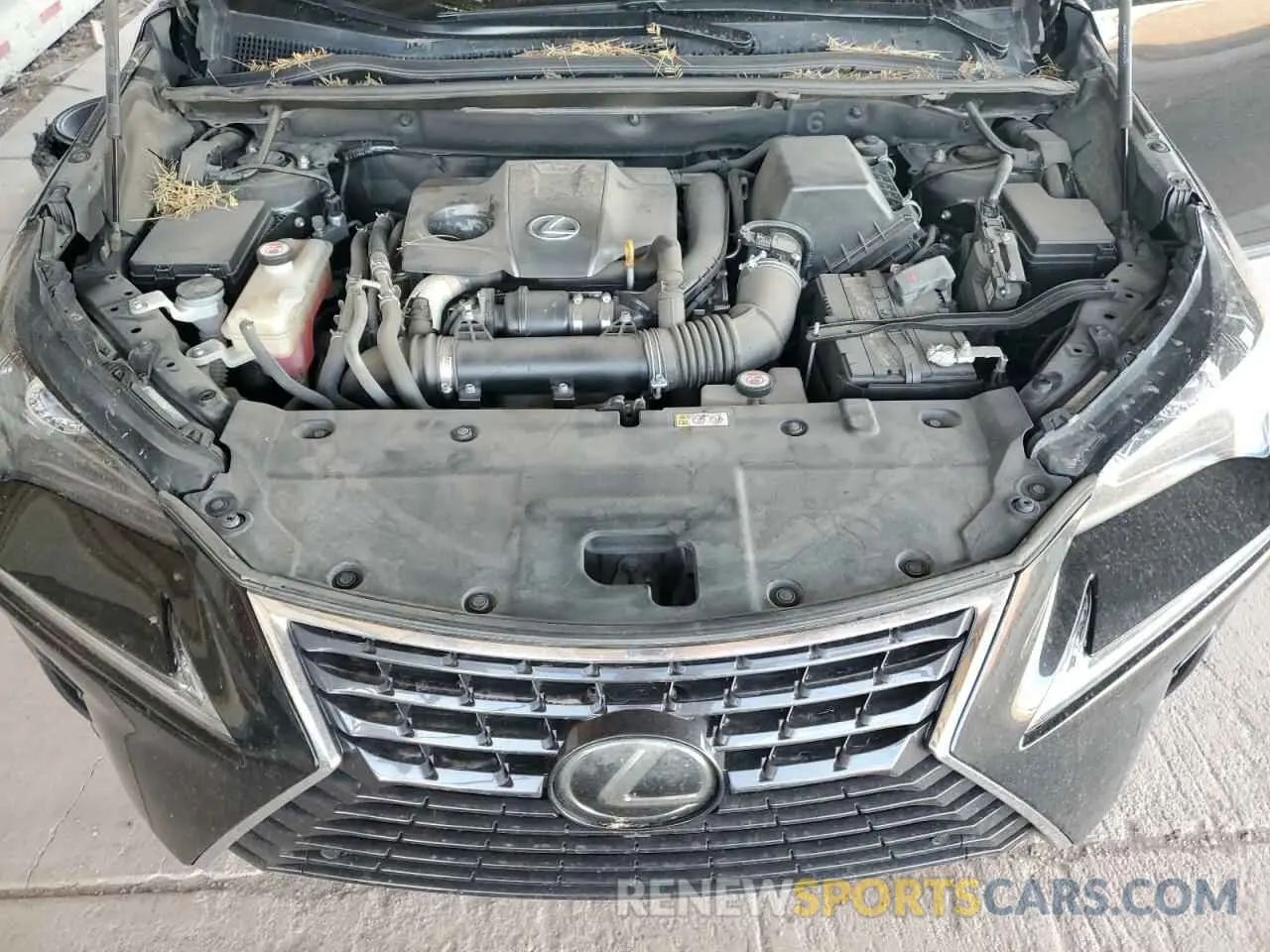 12 fotografías del automóvil dañado JTJGARBZ0L5008616 LEXUS NX 2020