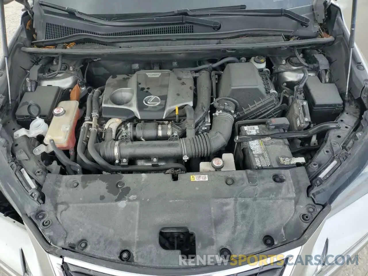 12 fotografías del automóvil dañado JTJGARBZ3L5009811 LEXUS NX 2020