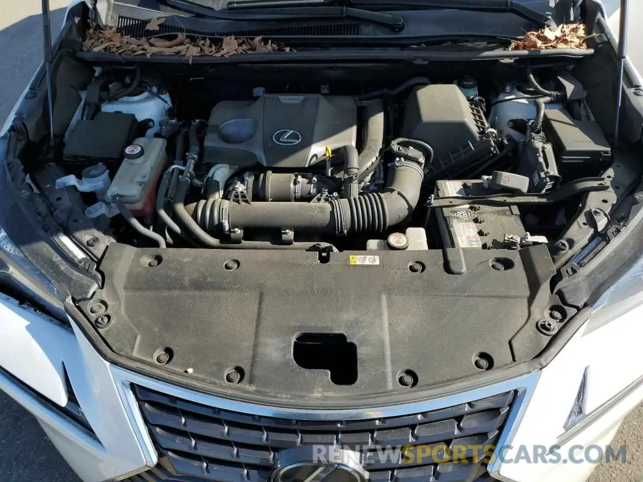 12 fotografías del automóvil dañado JTJGARDZ3L2218206 LEXUS NX 2020