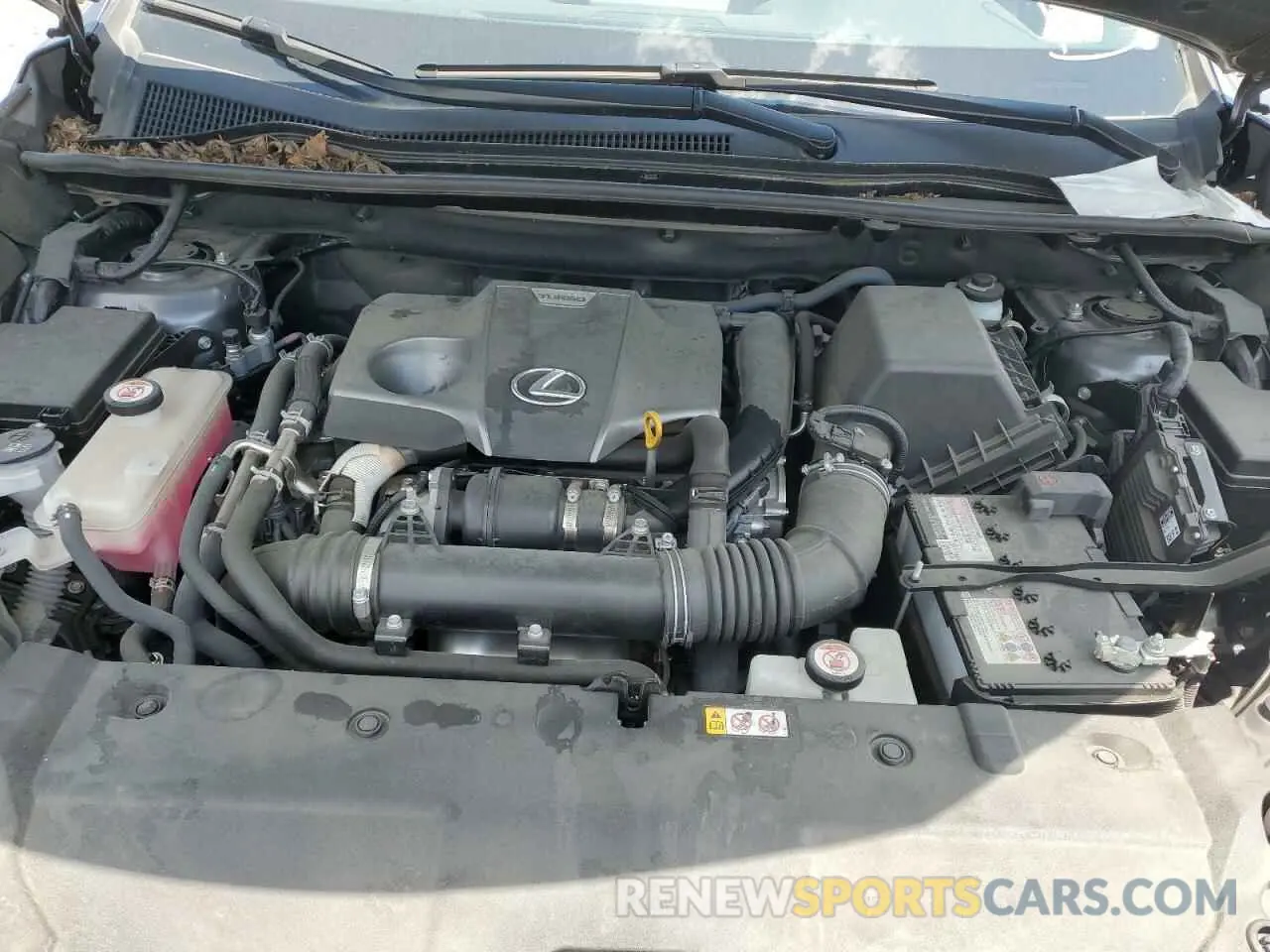 12 fotografías del automóvil dañado JTJDARBZ1M2196262 LEXUS NX 2021