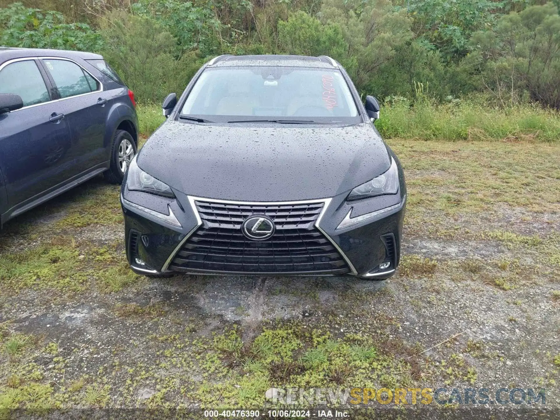 12 fotografías del automóvil dañado JTJDARBZ5M2181540 LEXUS NX 2021