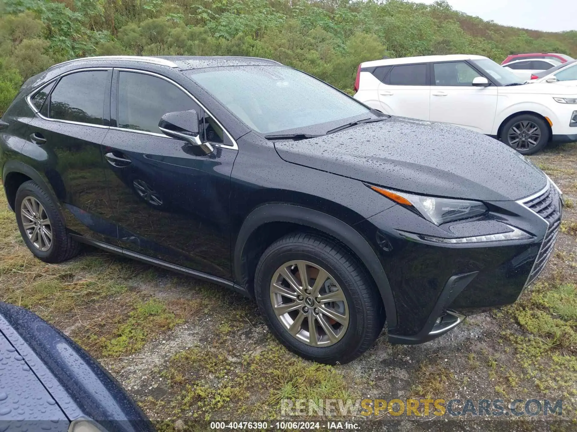 13 fotografías del automóvil dañado JTJDARBZ5M2181540 LEXUS NX 2021