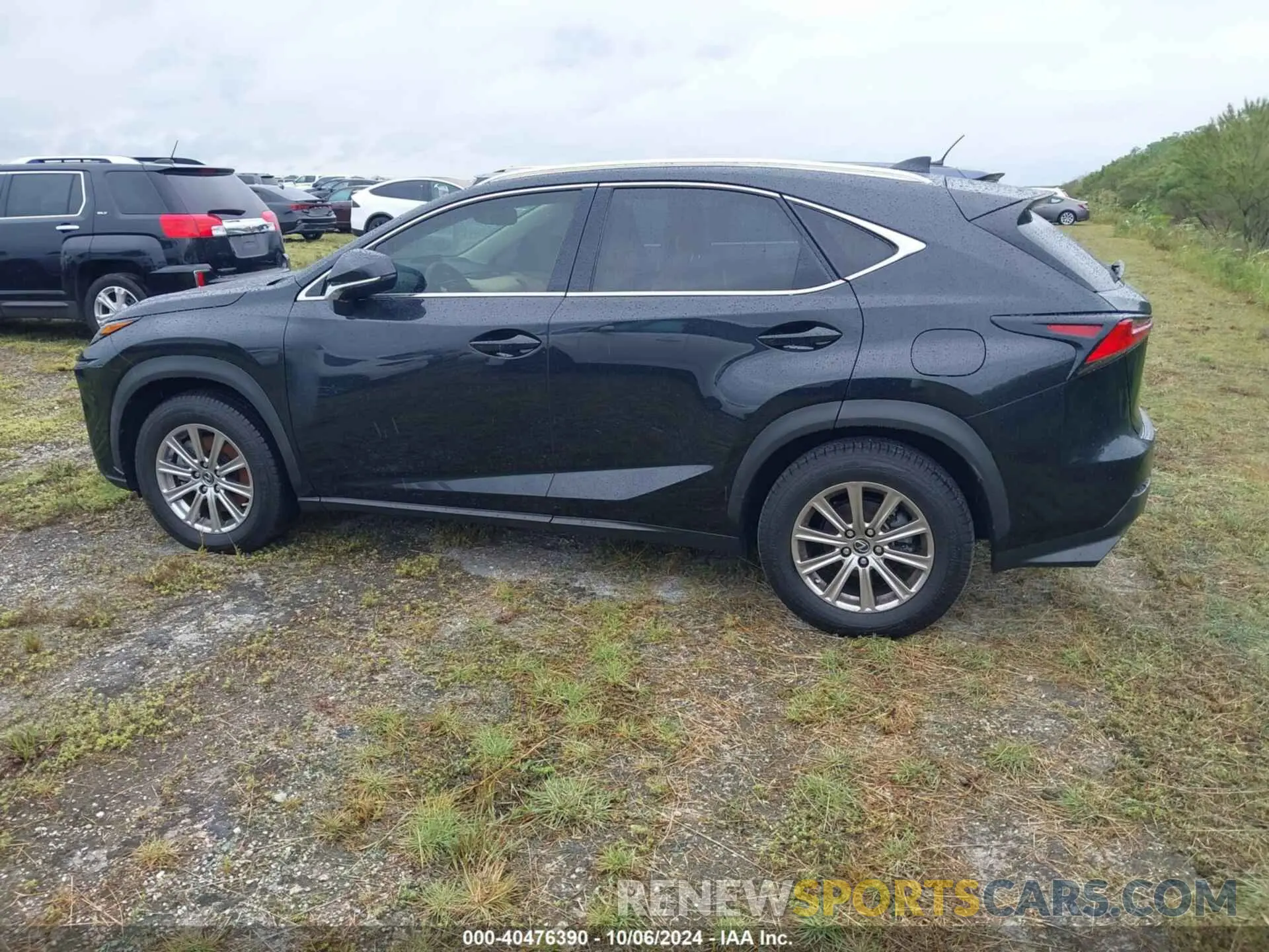 14 fotografías del automóvil dañado JTJDARBZ5M2181540 LEXUS NX 2021