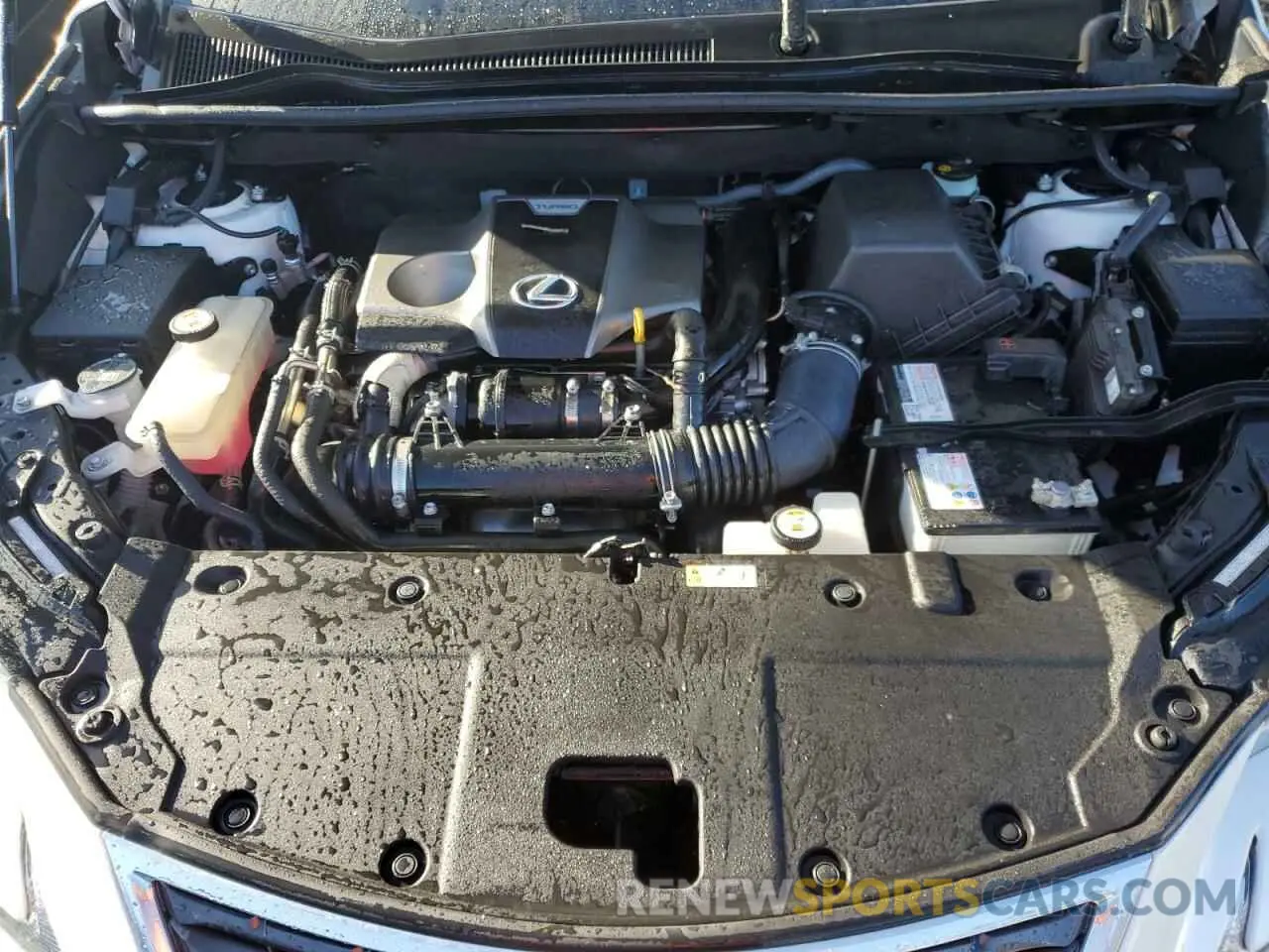 12 fotografías del automóvil dañado JTJDARBZ5M5034892 LEXUS NX 2021