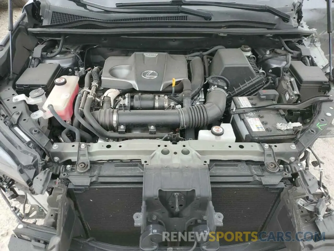 11 fotografías del automóvil dañado JTJDARBZ7M2198839 LEXUS NX 2021