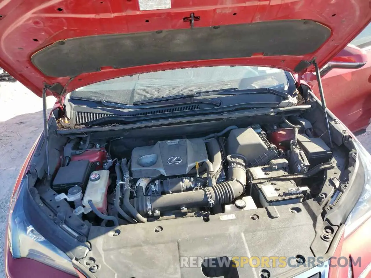 12 fotografías del automóvil dañado JTJDARBZ7M5020685 LEXUS NX 2021