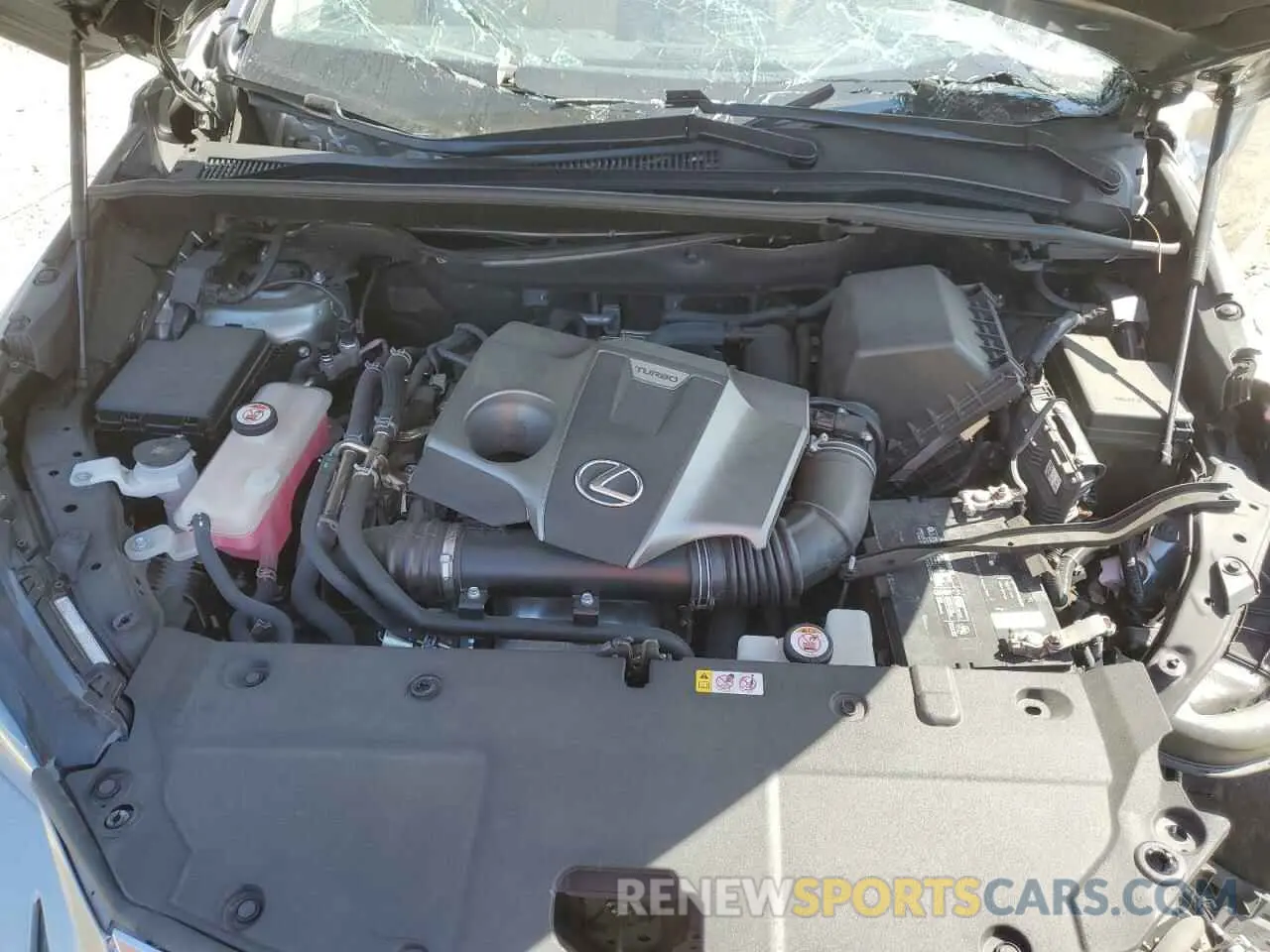 12 fotografías del automóvil dañado JTJDARBZ8M2183265 LEXUS NX 2021