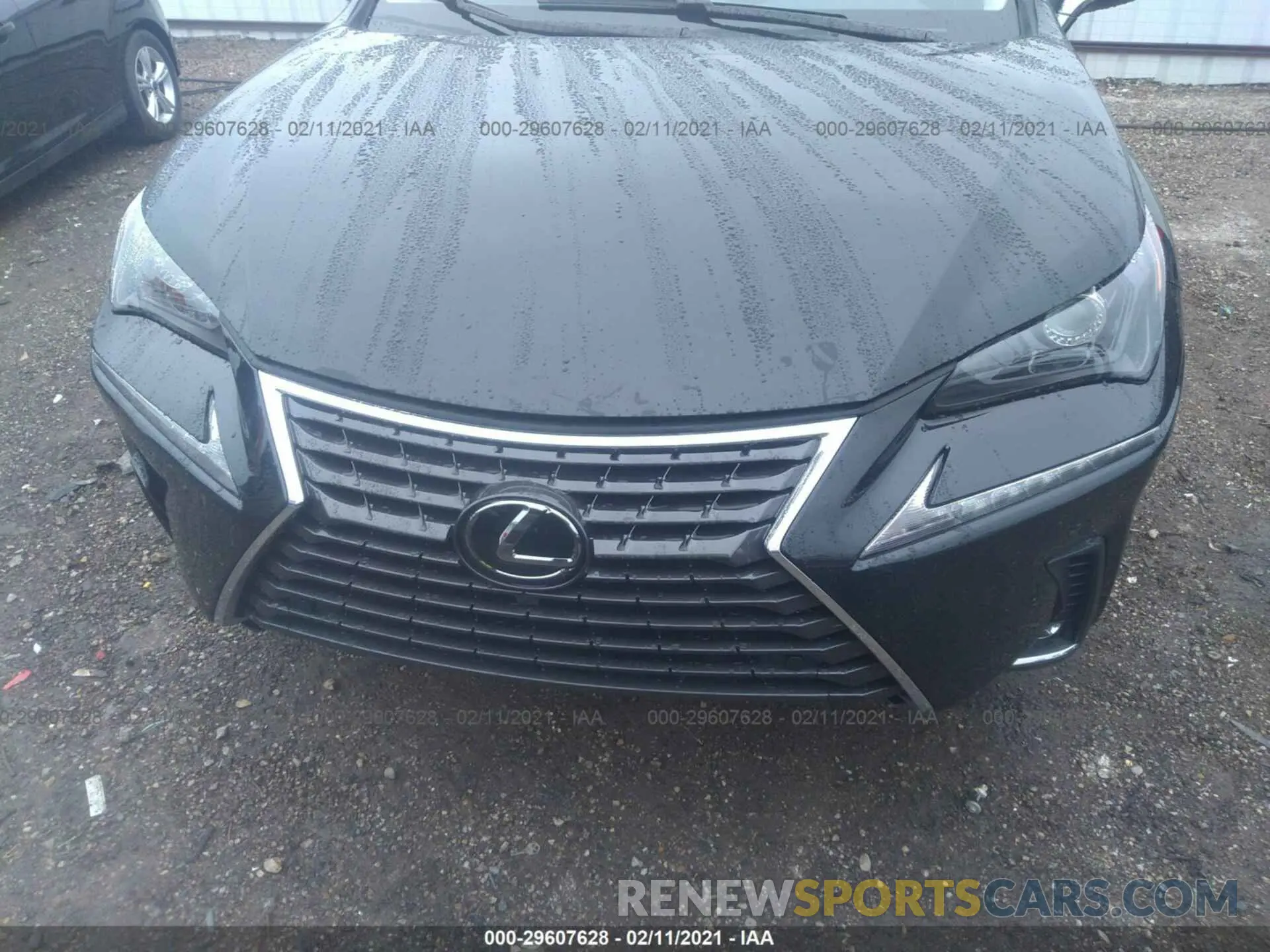 10 fotografías del automóvil dañado JTJDARBZ8M2183878 LEXUS NX 2021