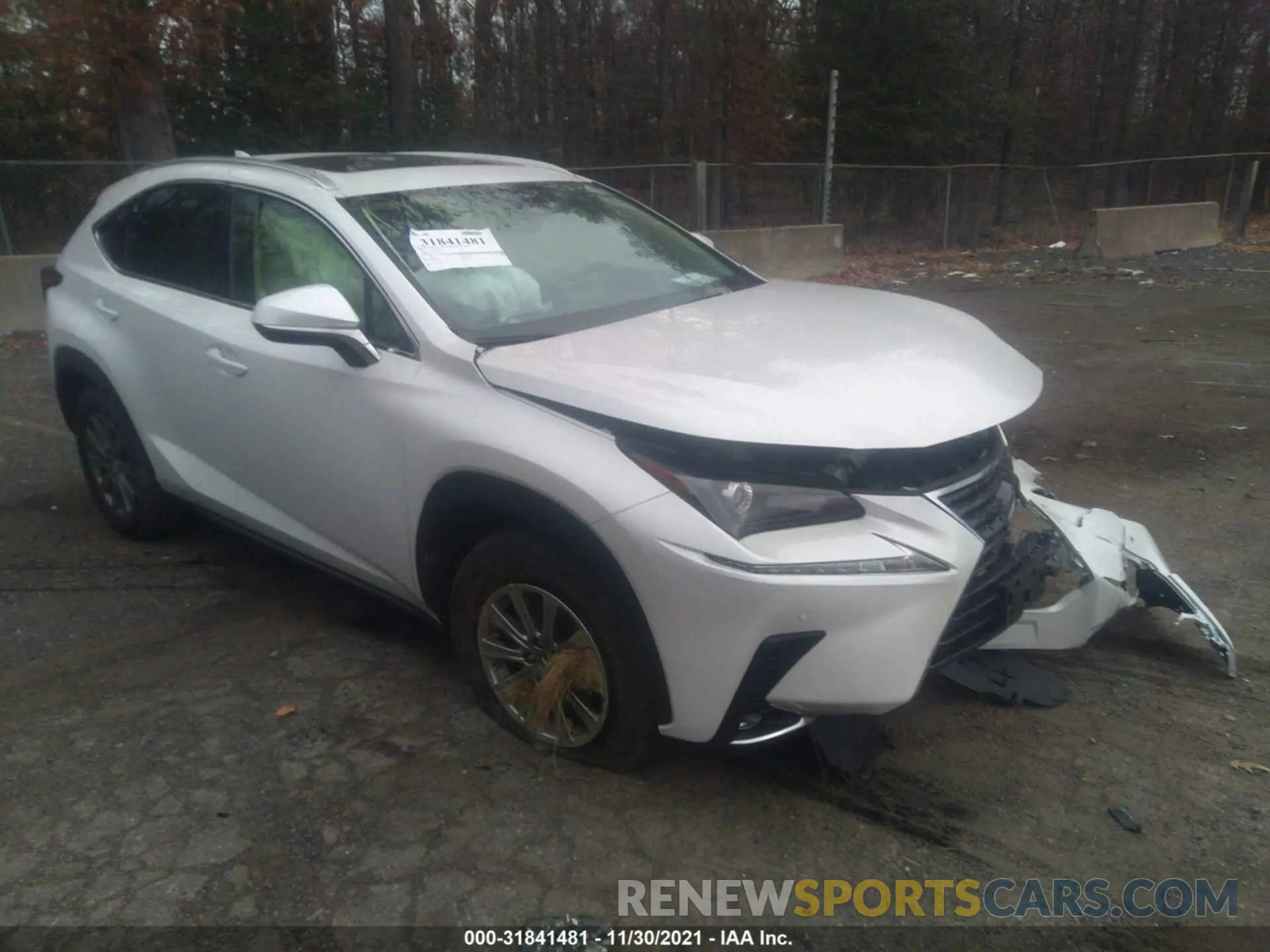 1 fotografías del automóvil dañado JTJDARDZ9M5020846 LEXUS NX 2021