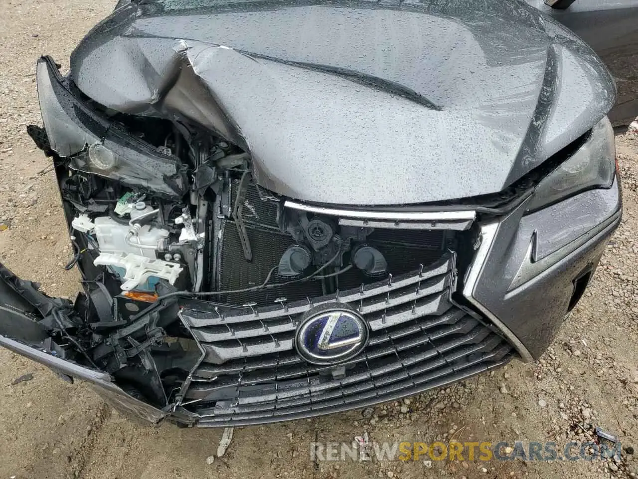 12 fotografías del automóvil dañado JTJDJRDZ2M2147276 LEXUS NX 2021