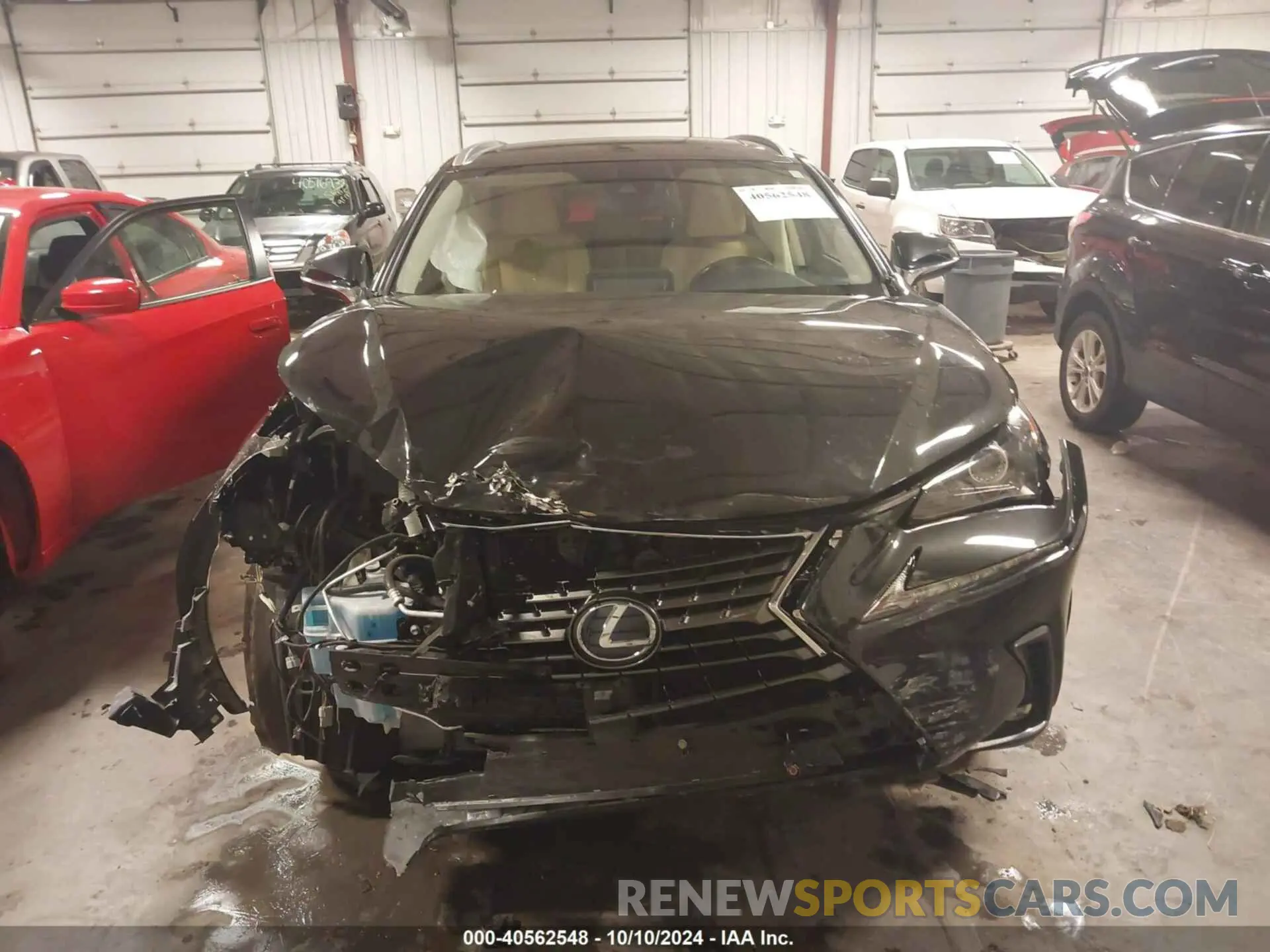 13 fotografías del automóvil dañado JTJDJRDZ9M5012875 LEXUS NX 2021