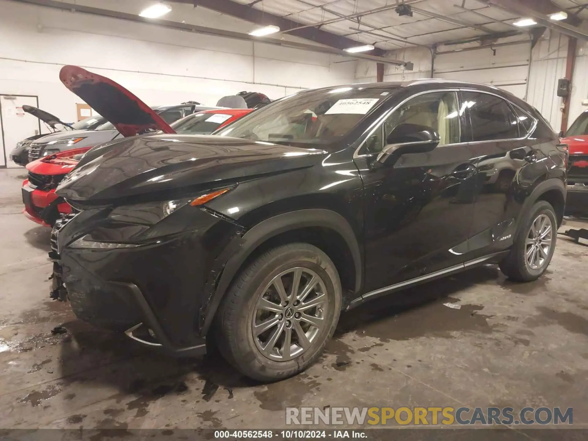 2 fotografías del automóvil dañado JTJDJRDZ9M5012875 LEXUS NX 2021