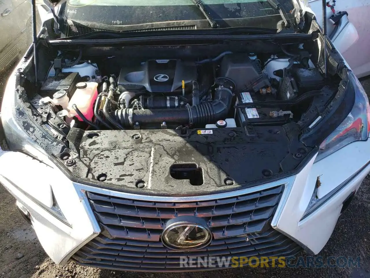 7 fotografías del automóvil dañado JTJGARBZ5M2179378 LEXUS NX 2021