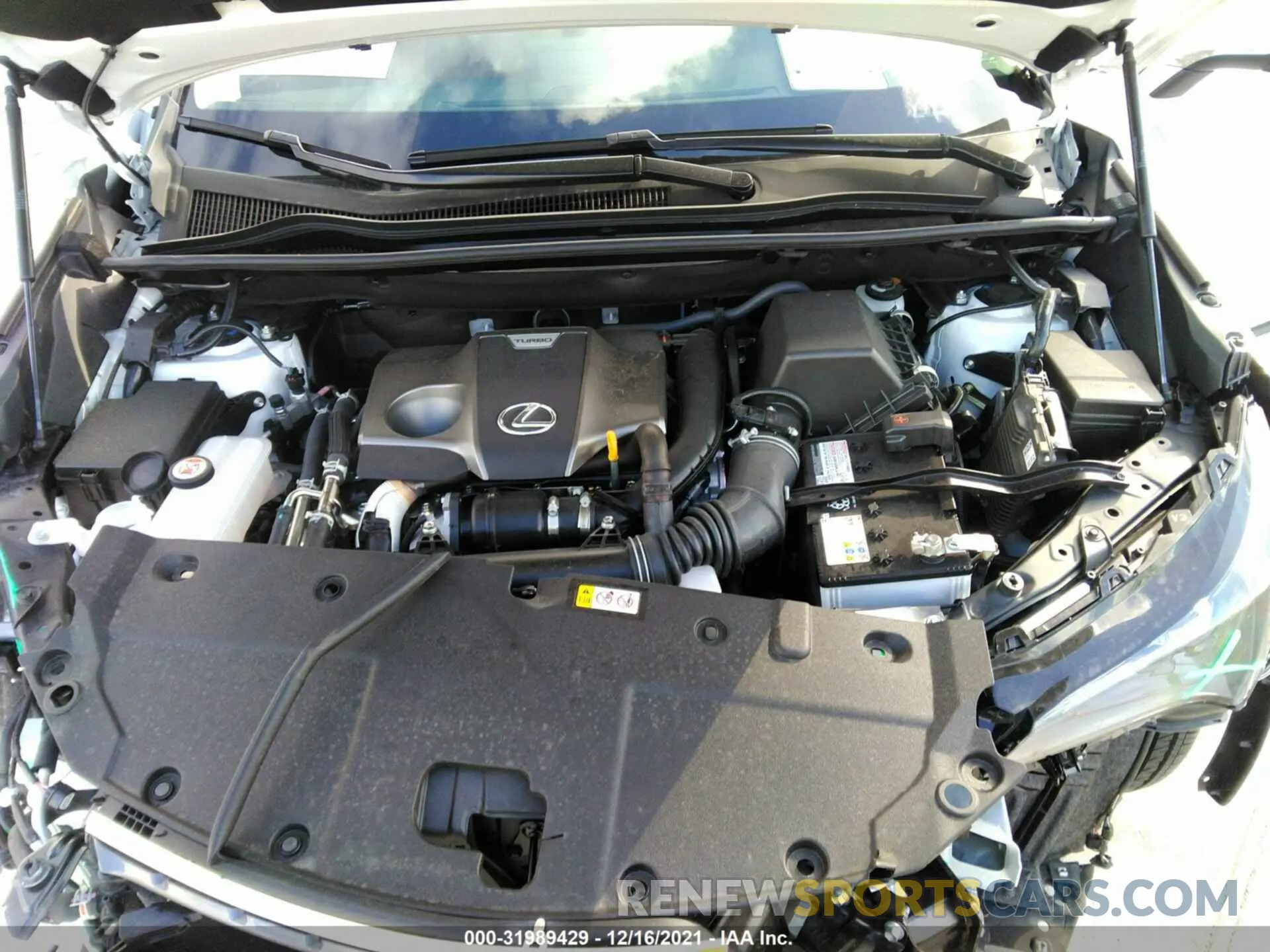 10 fotografías del automóvil dañado JTJGARBZ5M5029155 LEXUS NX 2021