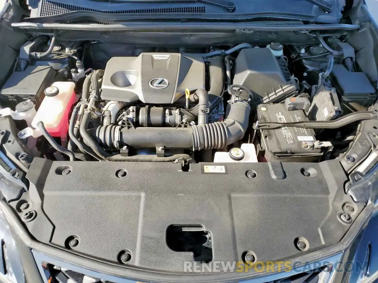 12 fotografías del automóvil dañado JTJSARBZ1M2191862 LEXUS NX 2021