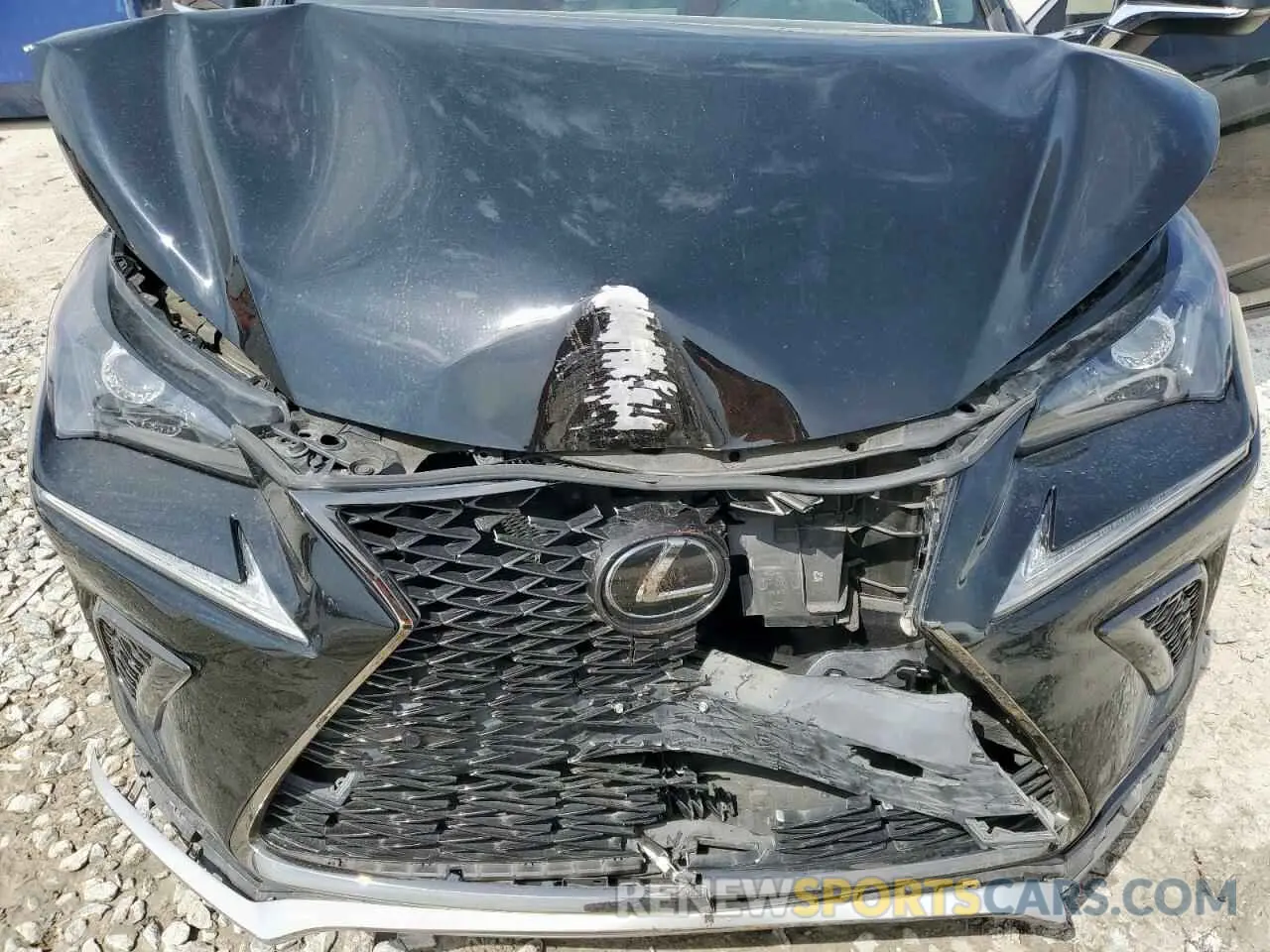 13 fotografías del automóvil dañado JTJSARBZ3M2202263 LEXUS NX 2021