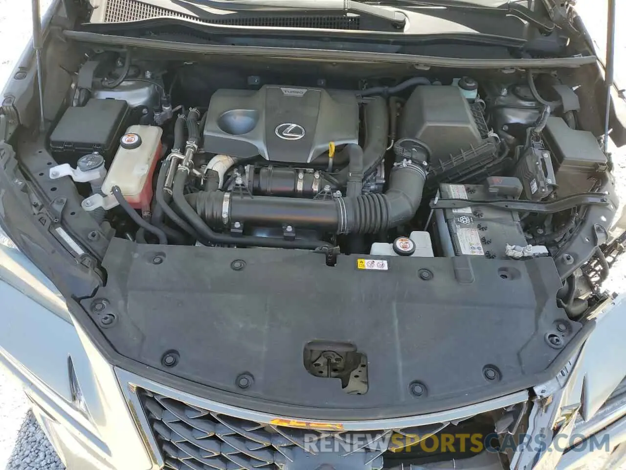 13 fotografías del automóvil dañado JTJSARBZ5M2197860 LEXUS NX 2021