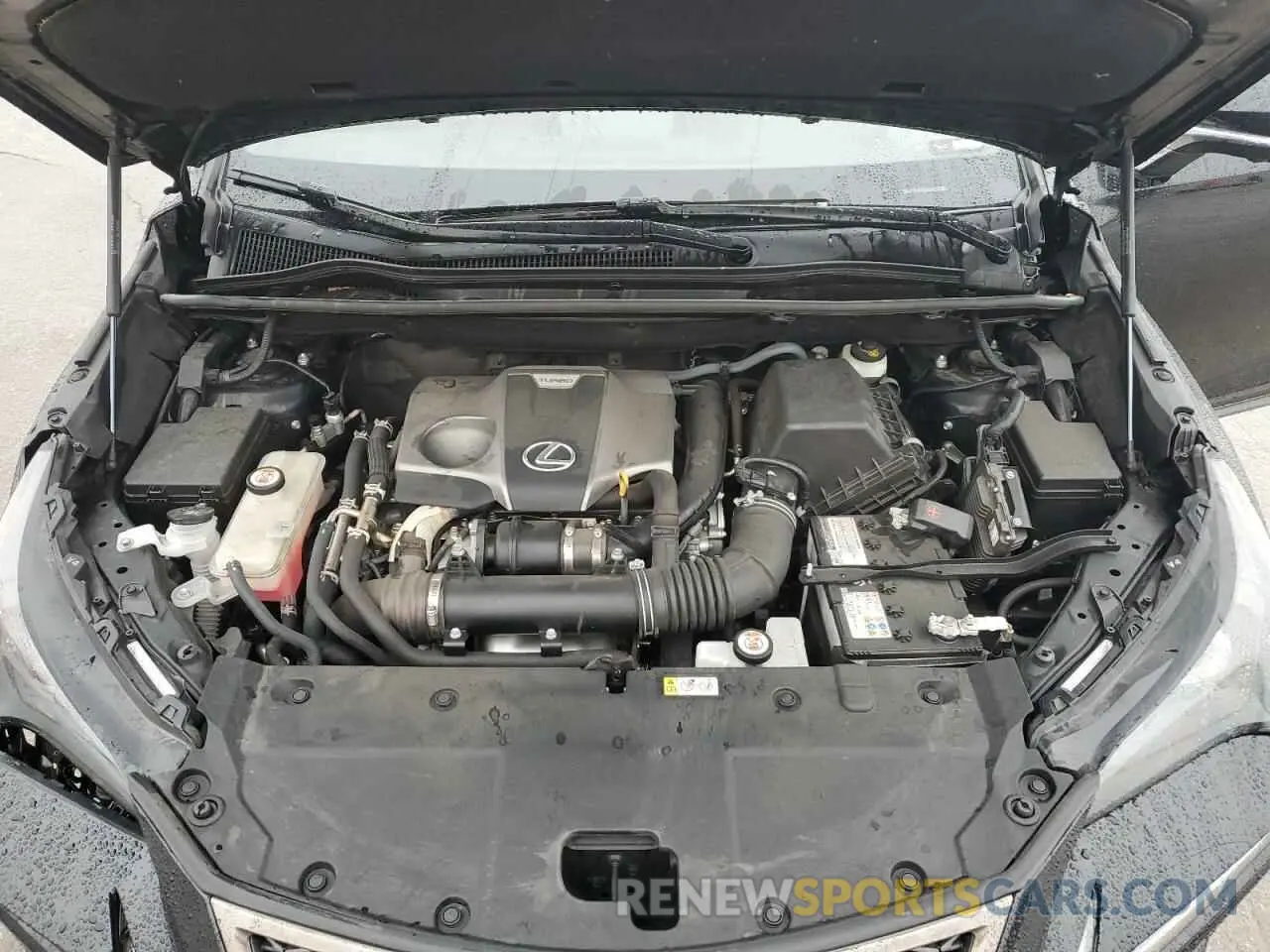 12 fotografías del automóvil dañado JTJSARBZXM2200591 LEXUS NX 2021