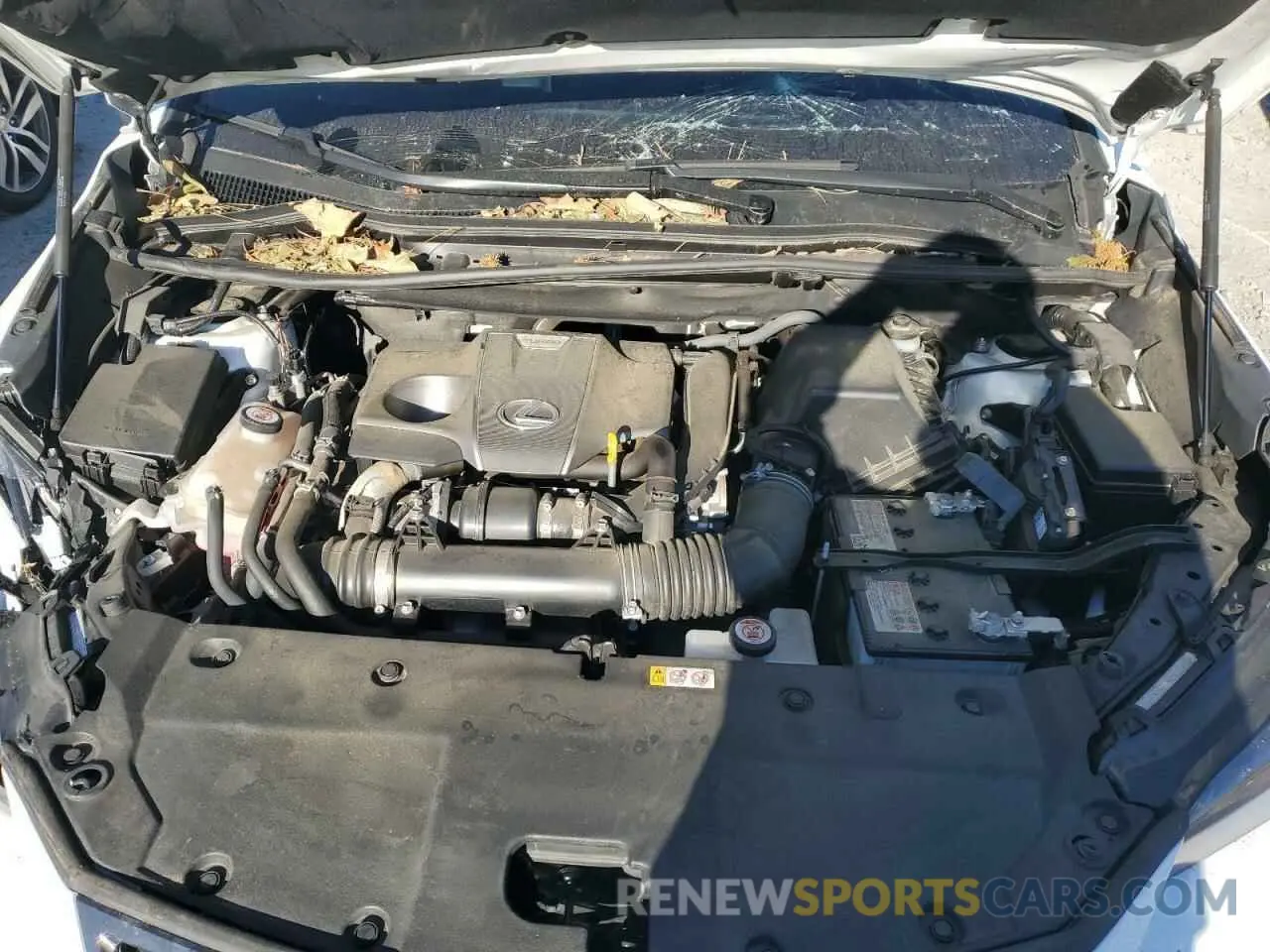 12 fotografías del automóvil dañado JTJSARBZXM5024138 LEXUS NX 2021