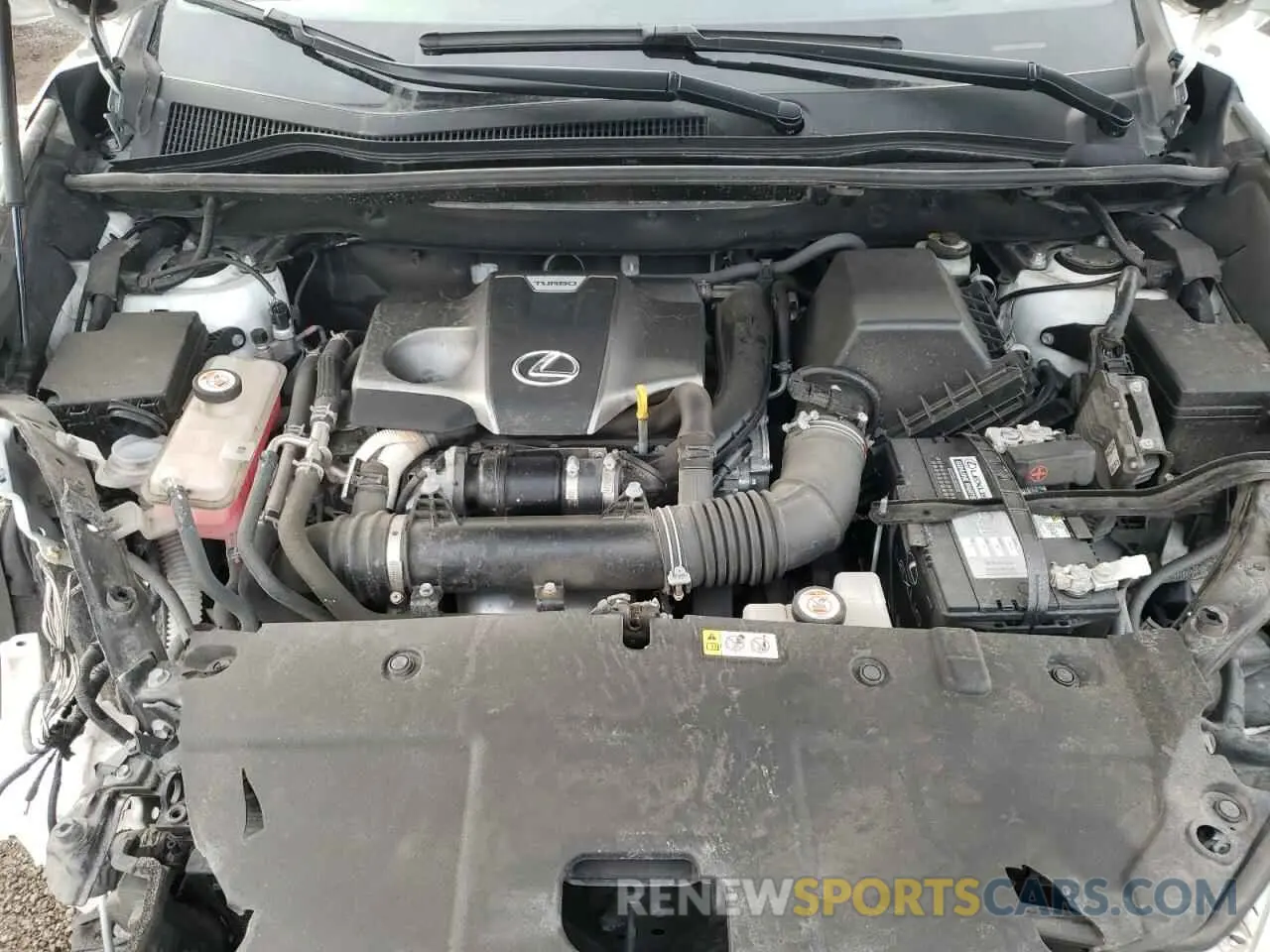 12 fotografías del automóvil dañado JTJSARDZ6M5023081 LEXUS NX 2021