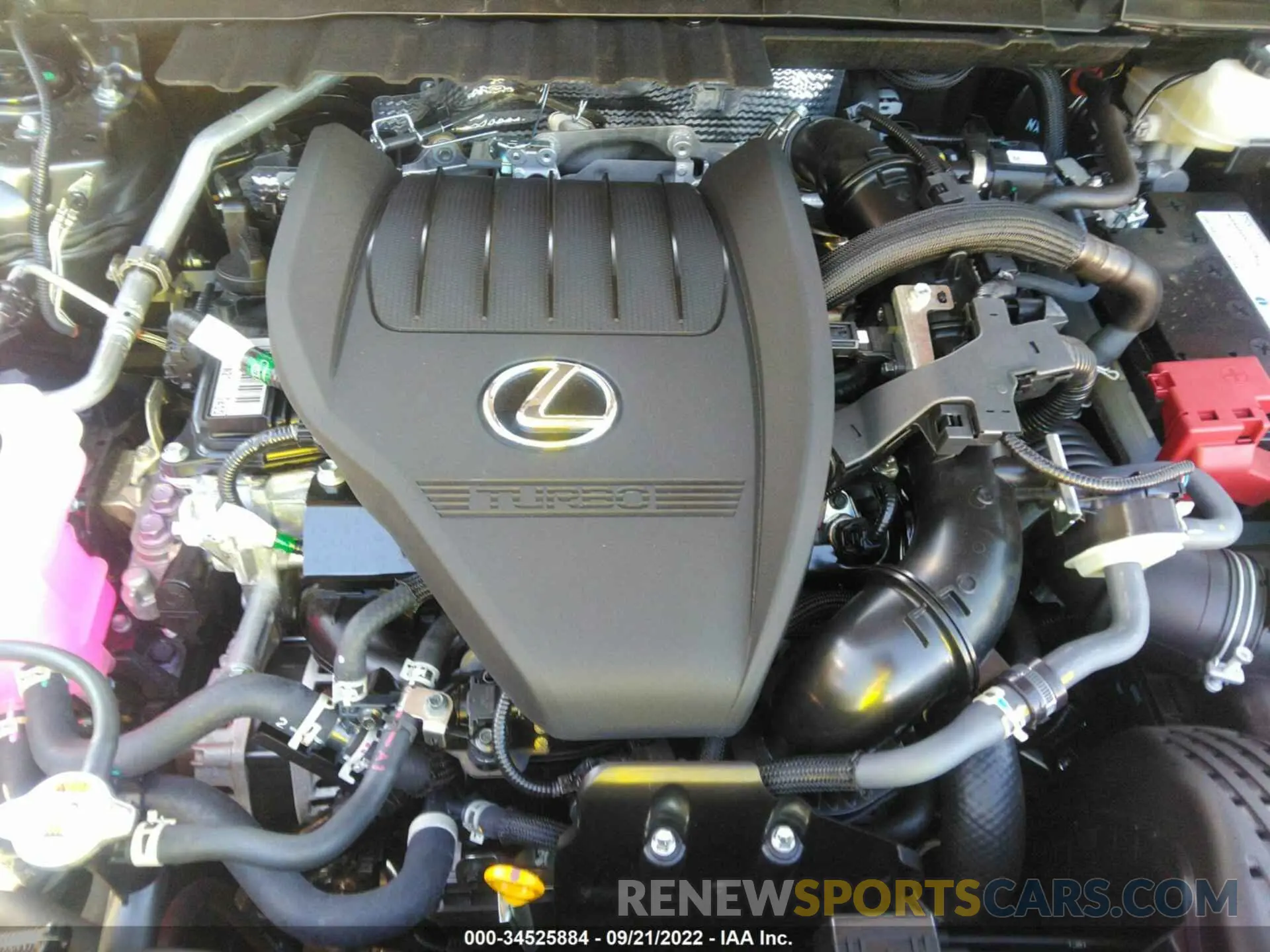 10 fotografías del automóvil dañado JTJGGCEZ4N5002246 LEXUS NX 2022