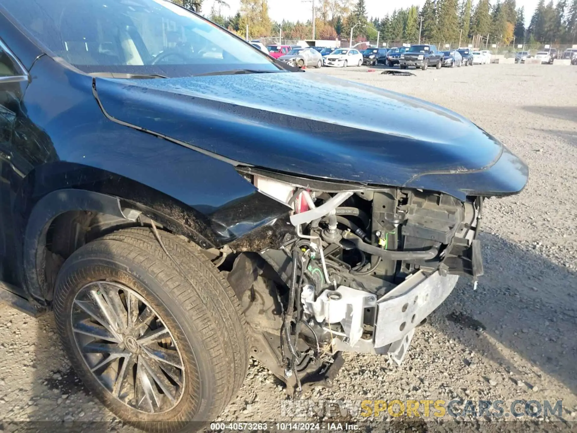 20 fotografías del automóvil dañado 2T2AKCEZ5PC010090 LEXUS NX 2023