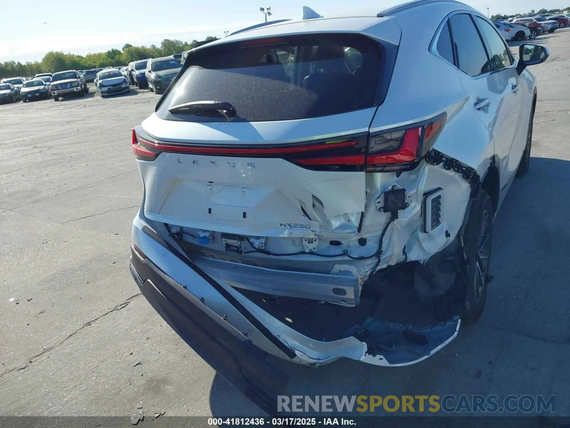 16 fotografías del automóvil dañado JTJGDCAZ6S2016077 LEXUS NX 2025