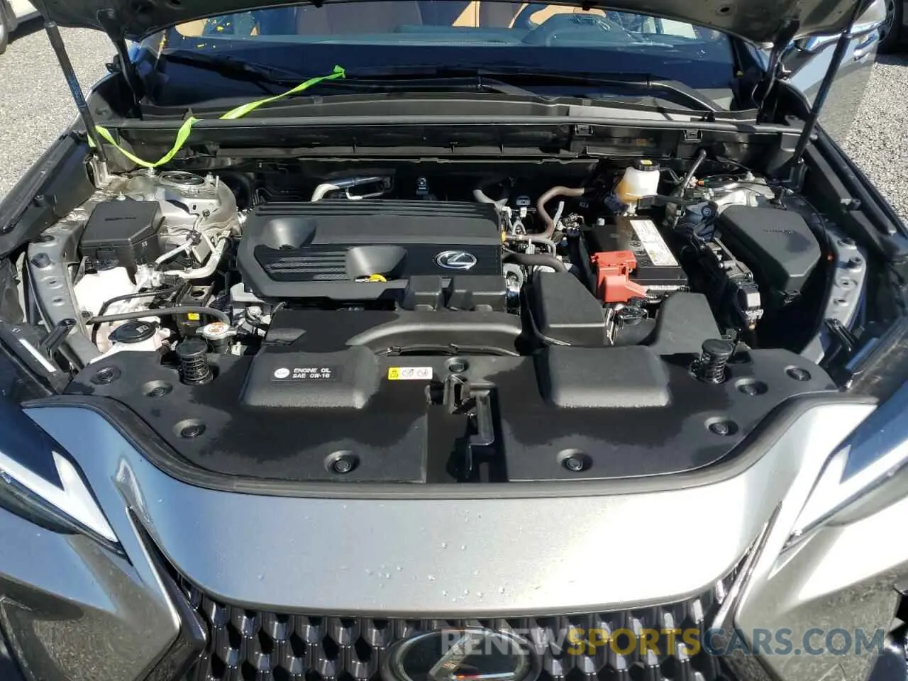 12 fotografías del automóvil dañado JTJGDCAZ9N5002290 LEXUS NX 250 2022