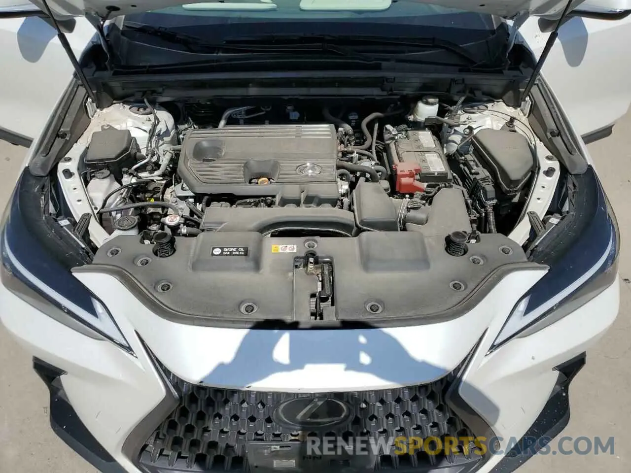 12 fotografías del automóvil dañado 2T2ADCEZ5PC003313 LEXUS NX 250 2023