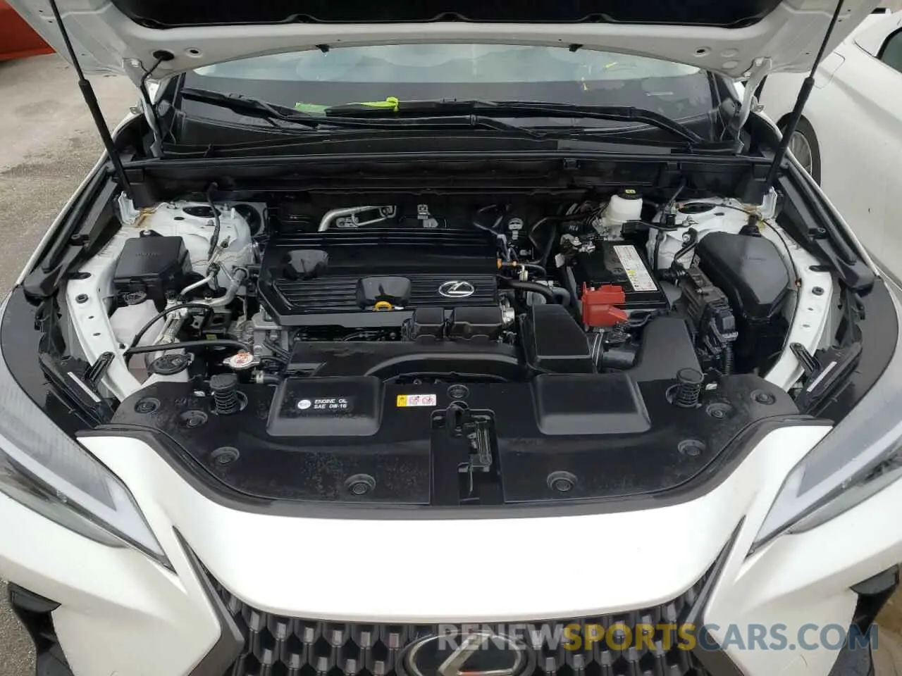 12 fotografías del automóvil dañado JTJADCAZ5P2006346 LEXUS NX 250 2023