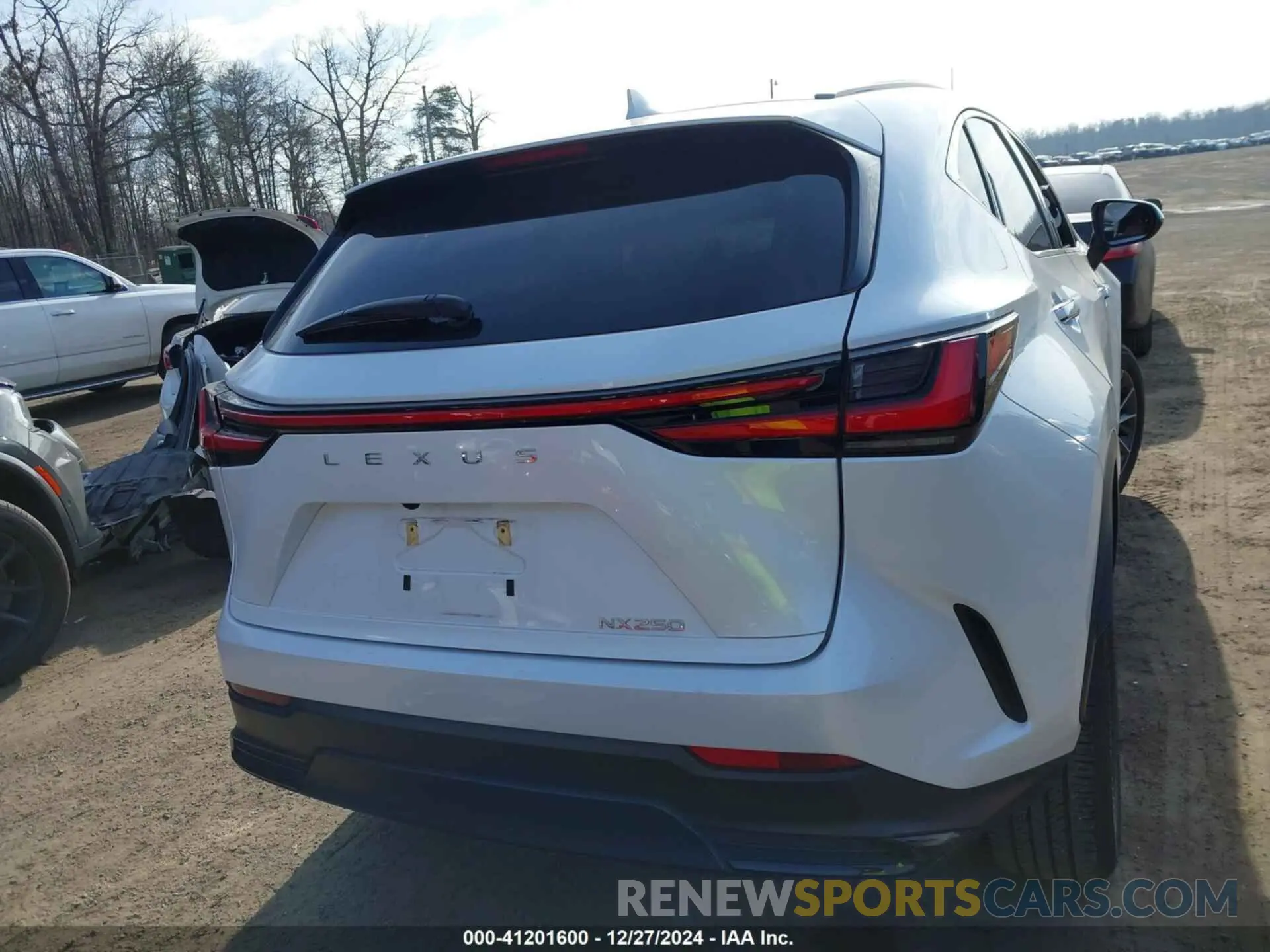 17 fotografías del automóvil dañado 2T2ADCAZ1RC006170 LEXUS NX 250 2024