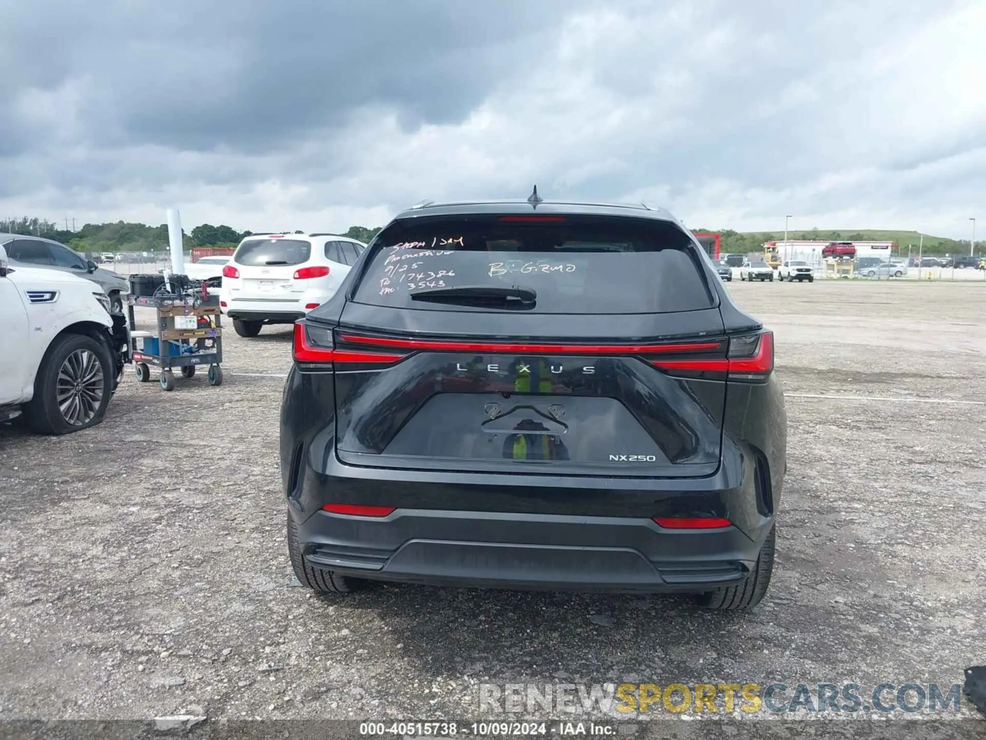 17 fotografías del automóvil dañado 2T2ADCAZ7RC011549 LEXUS NX 250 2024