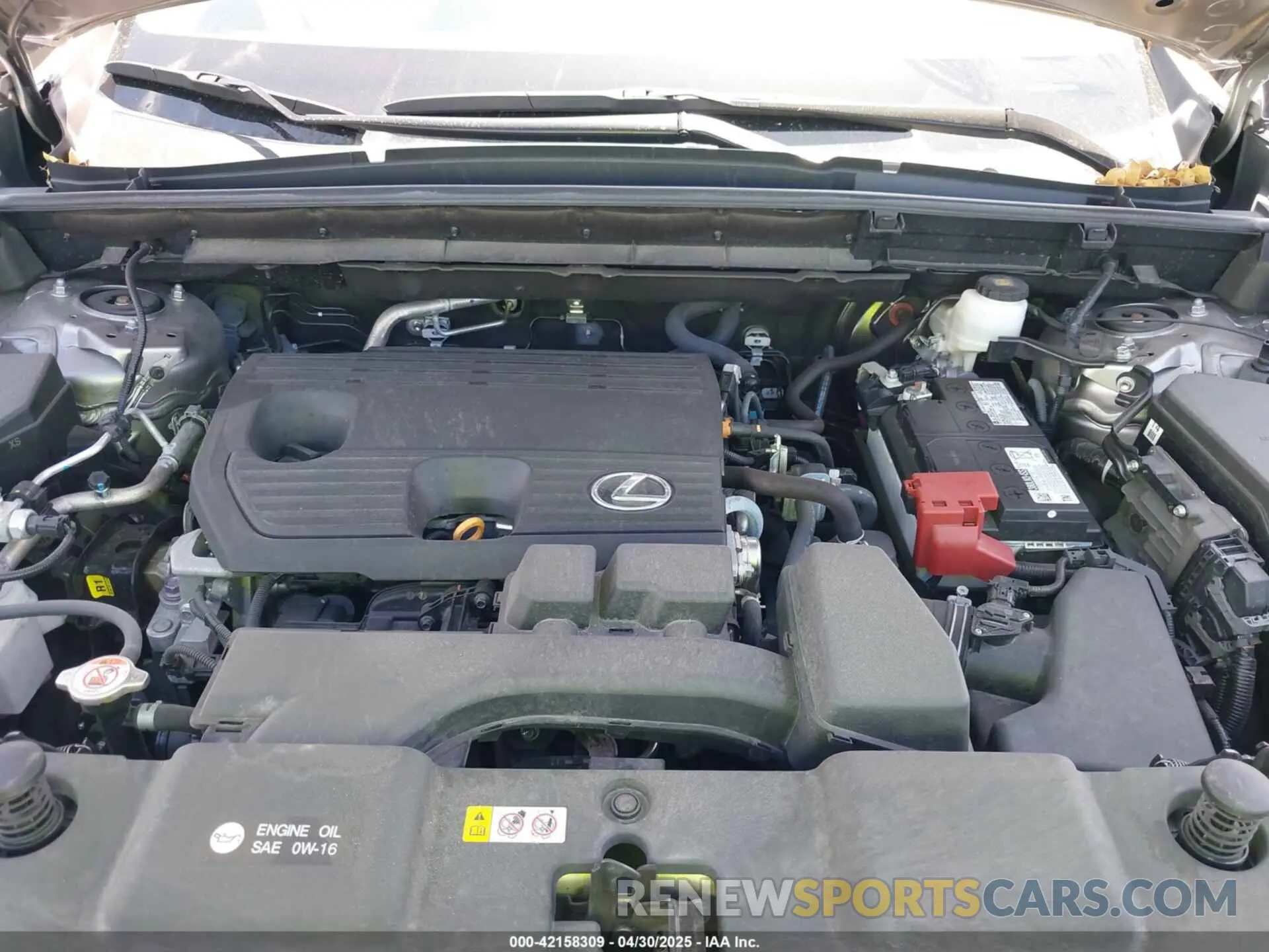 10 fotografías del automóvil dañado 2T2ADCAZ9RC009348 LEXUS NX 250 2024