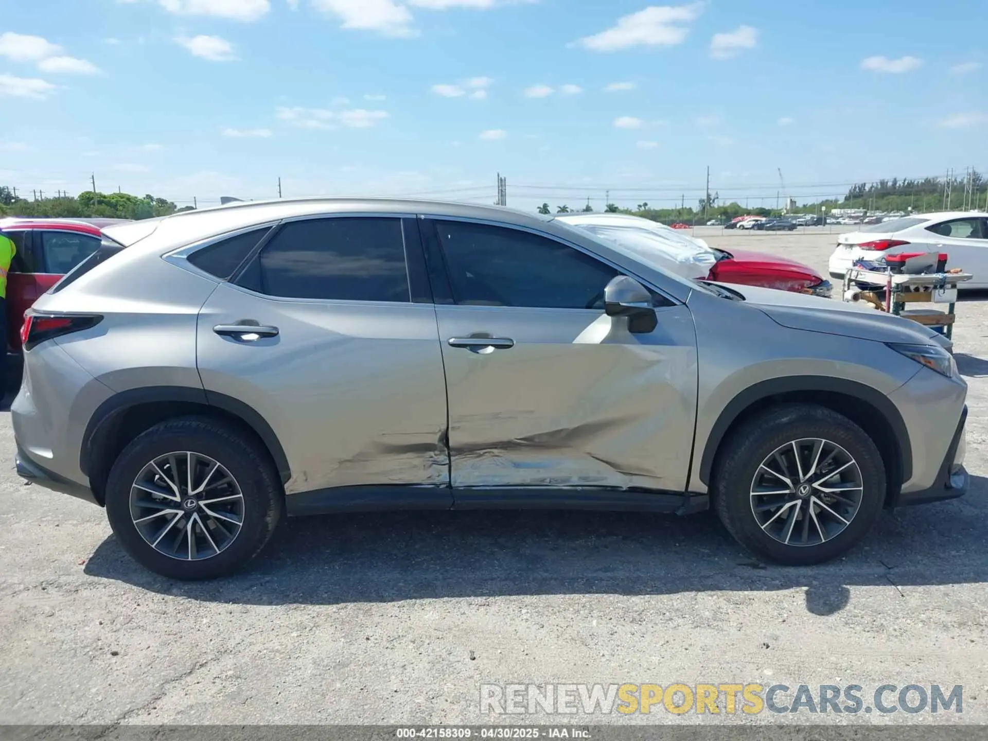 13 fotografías del automóvil dañado 2T2ADCAZ9RC009348 LEXUS NX 250 2024